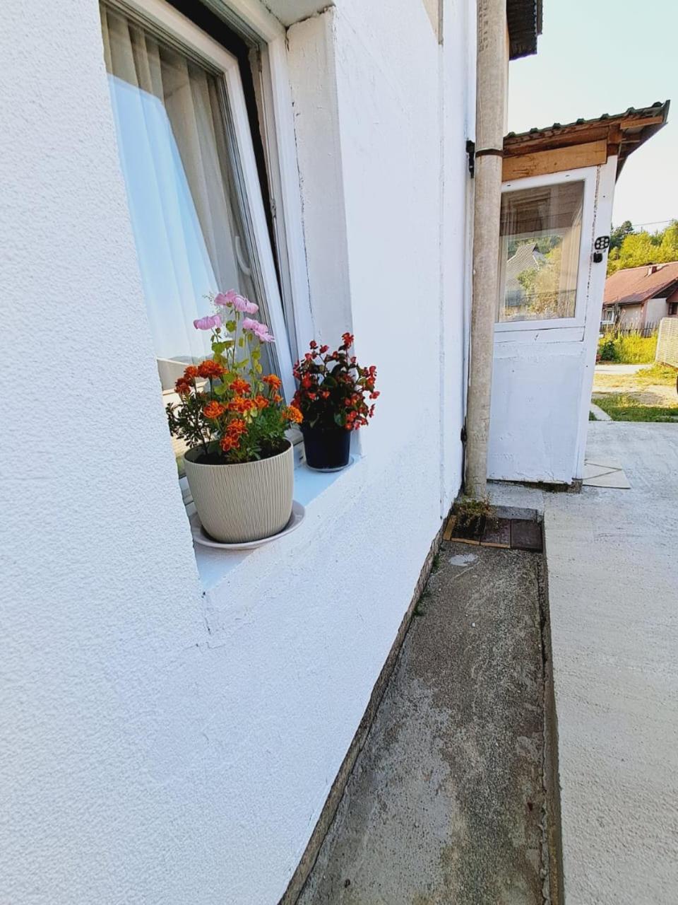 Sofia apartman