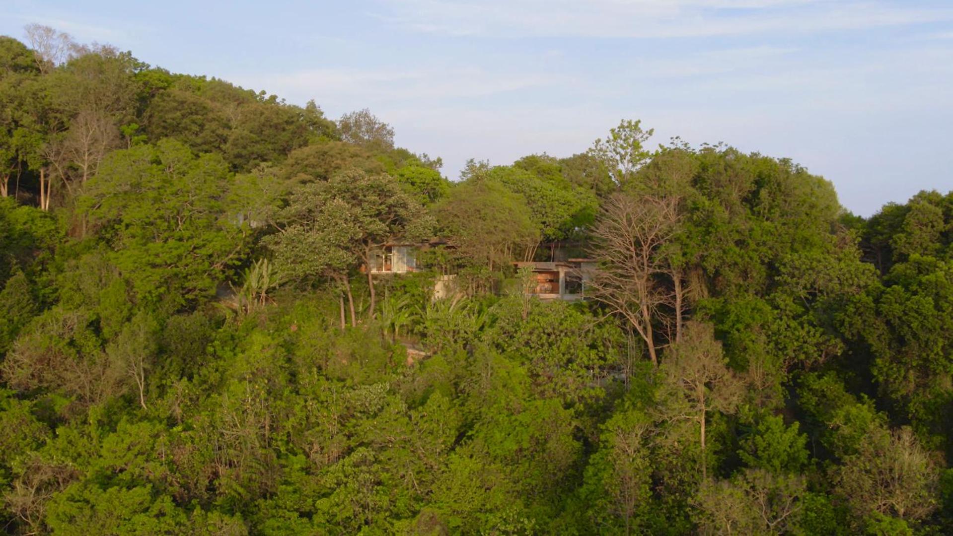 Ambong Rainforest Retreat — photo 46