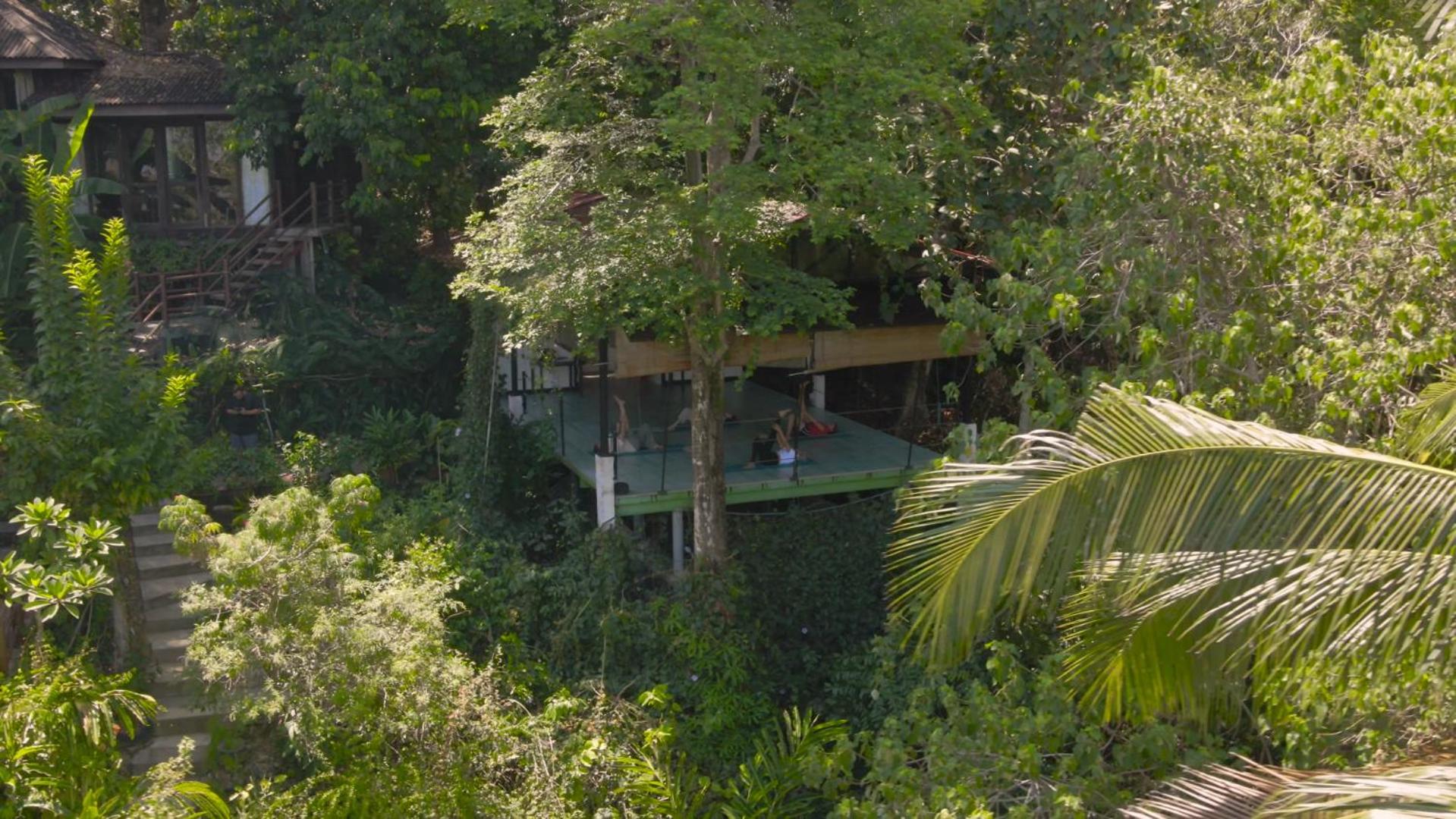 Ambong Rainforest Retreat — photo 60