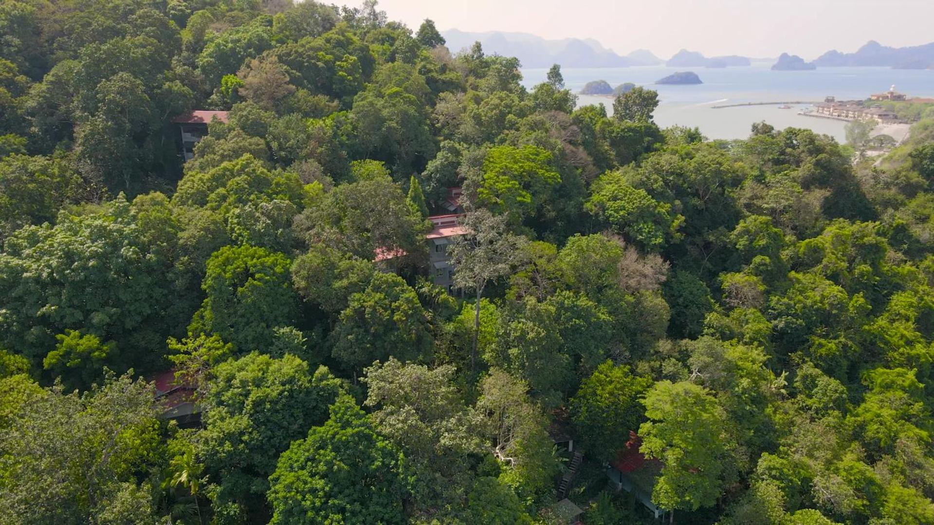 Ambong Rainforest Retreat — photo 63