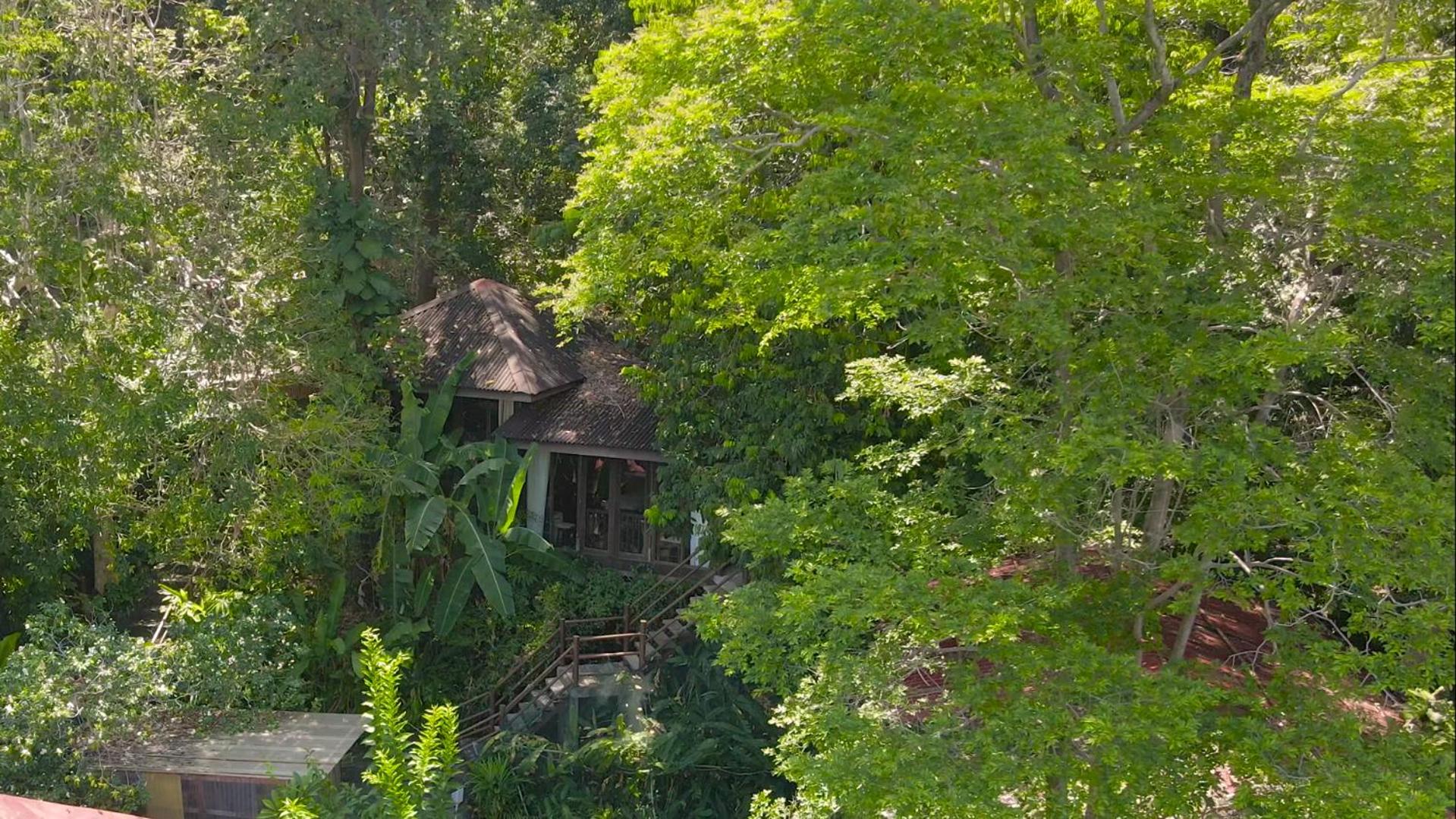 Ambong Rainforest Retreat — photo 44