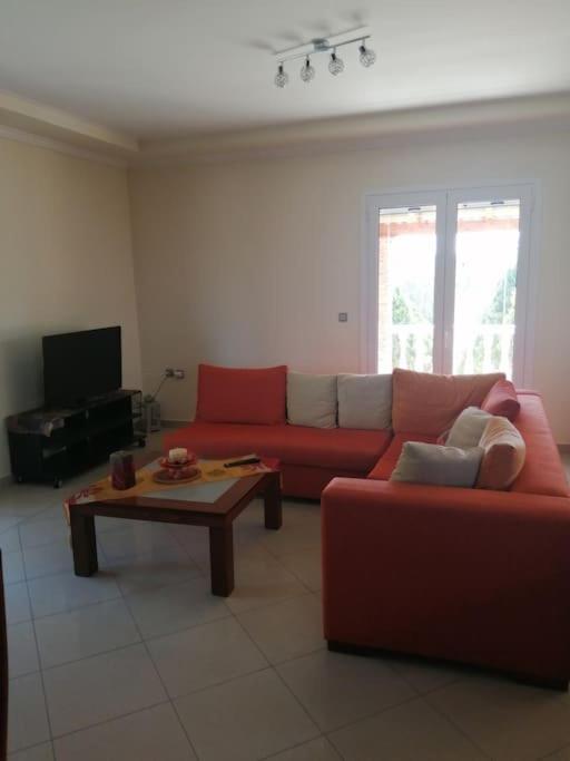 Dreams House Zante photo 4