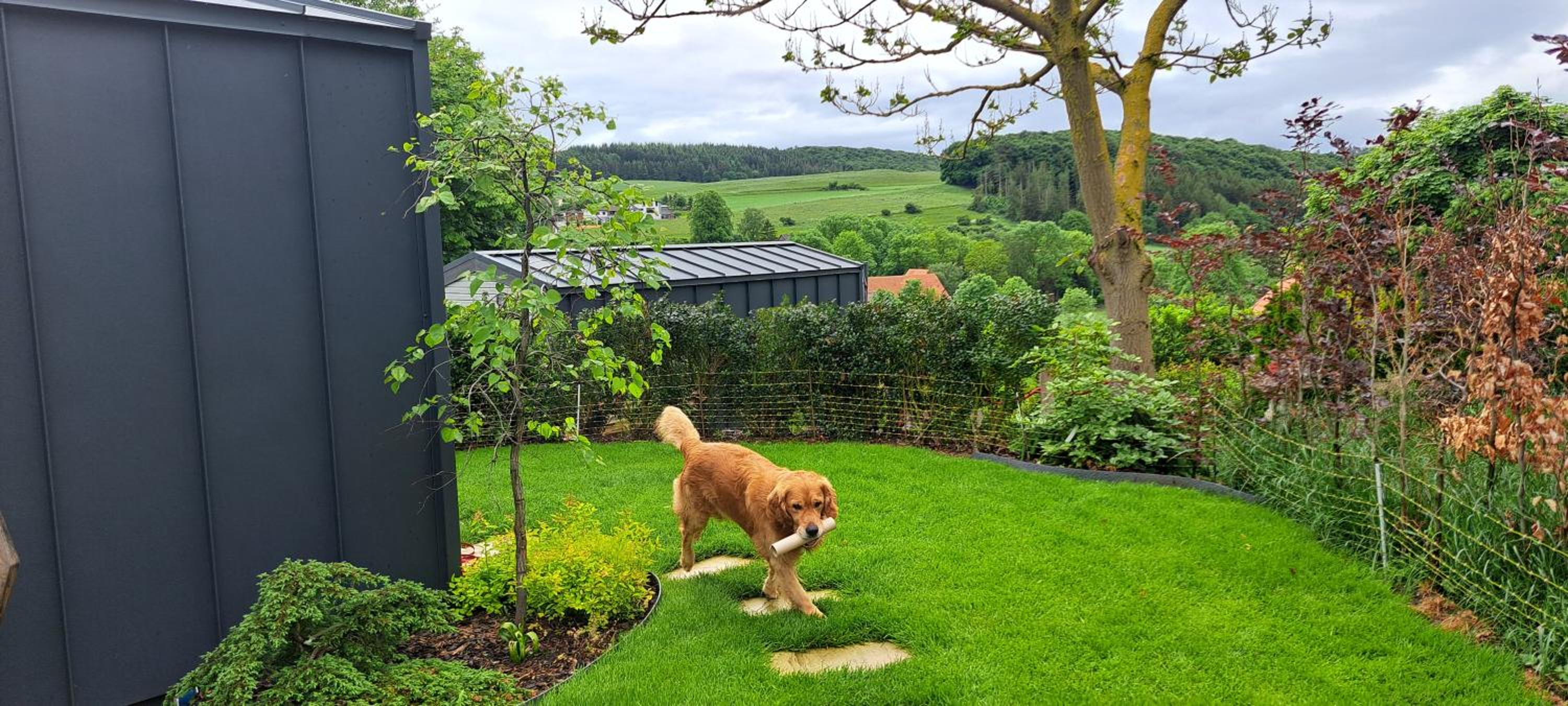 Sauerland-Tinyworld - Ihr Tiny Ferienhaus am Rande des Sauerlandes, Nähe Diemelsee