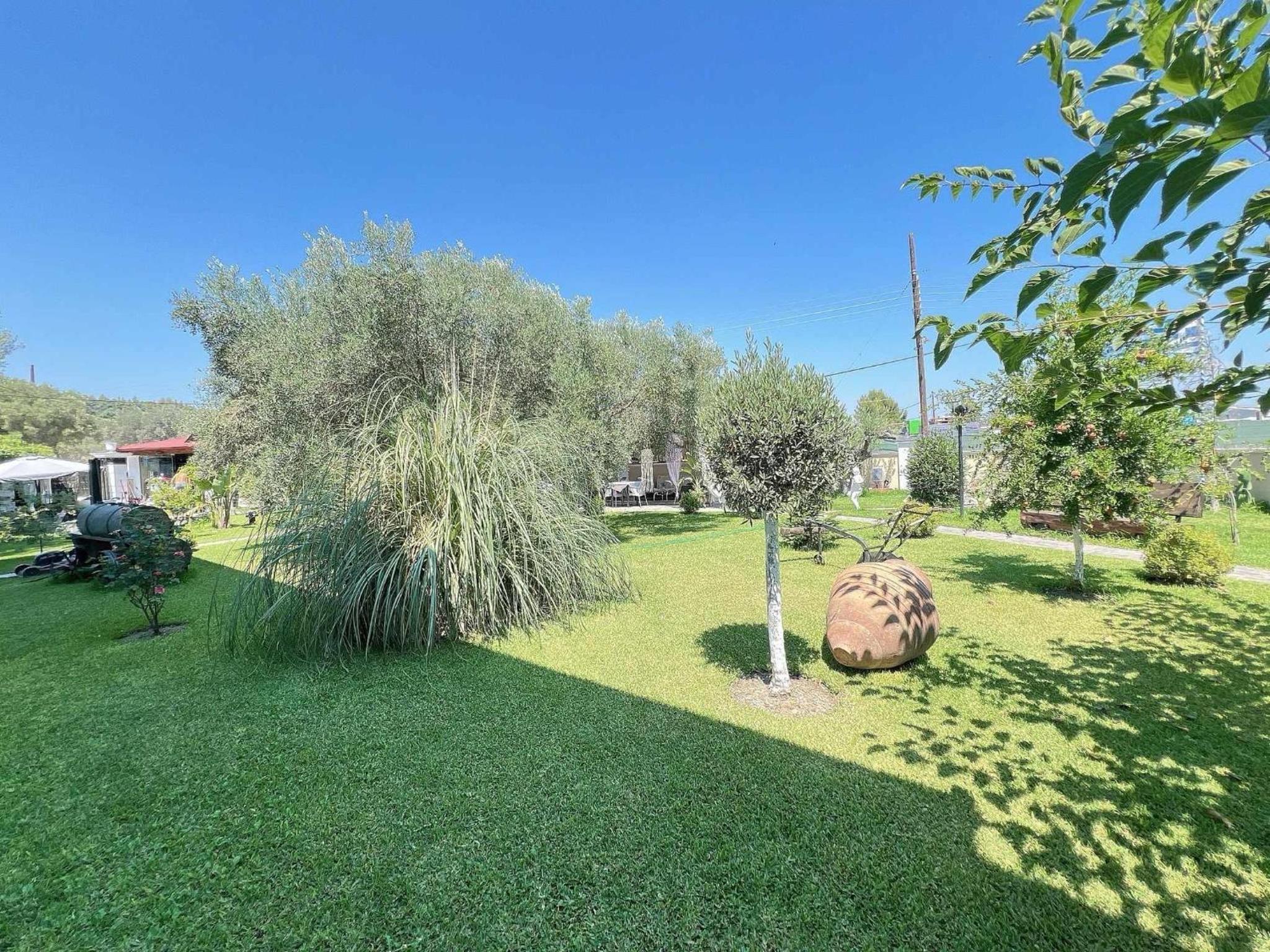 Apartments Alexandros