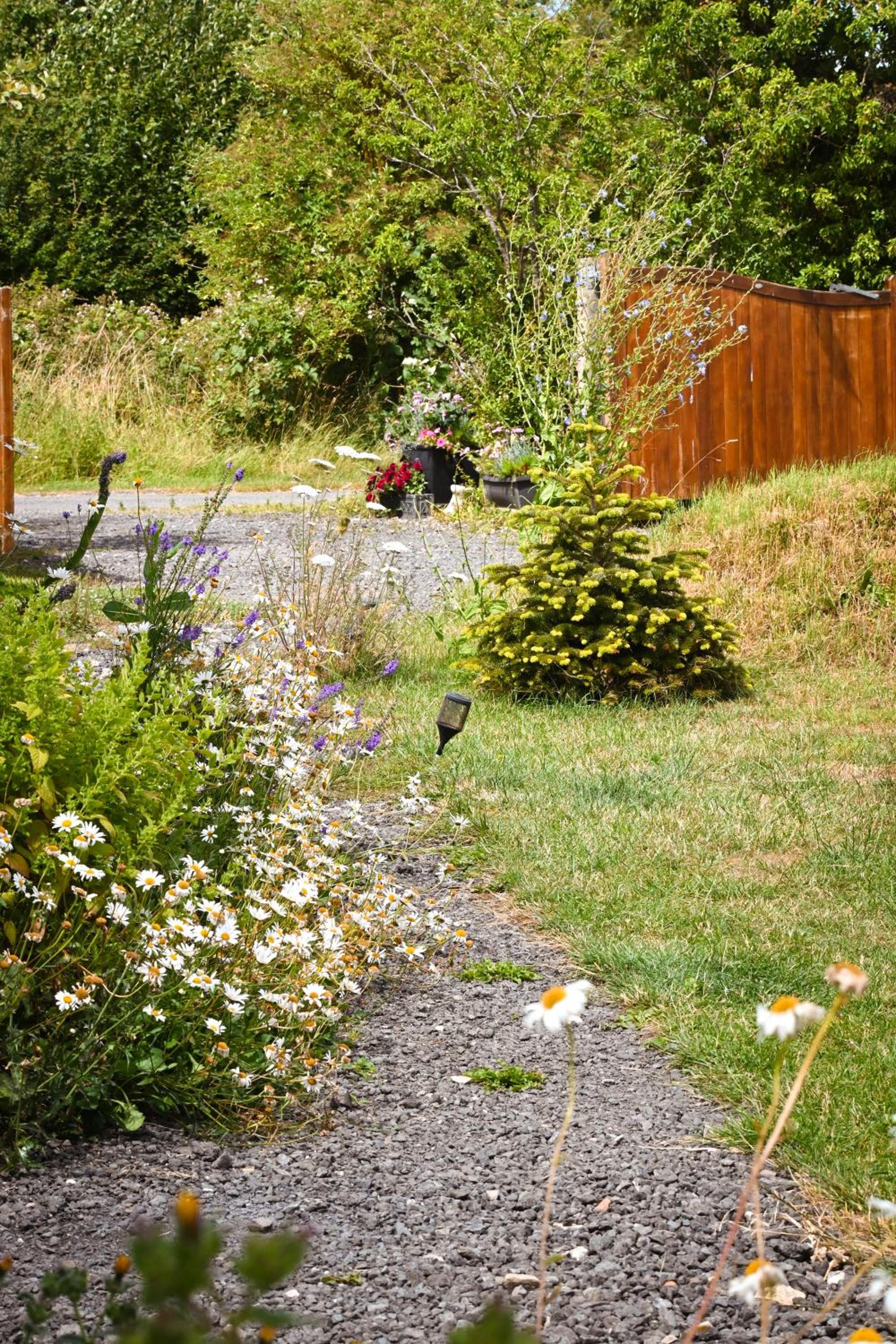 Photo 47