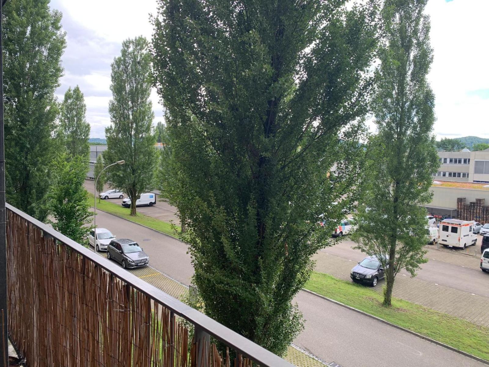 Rheinfelden Homestay