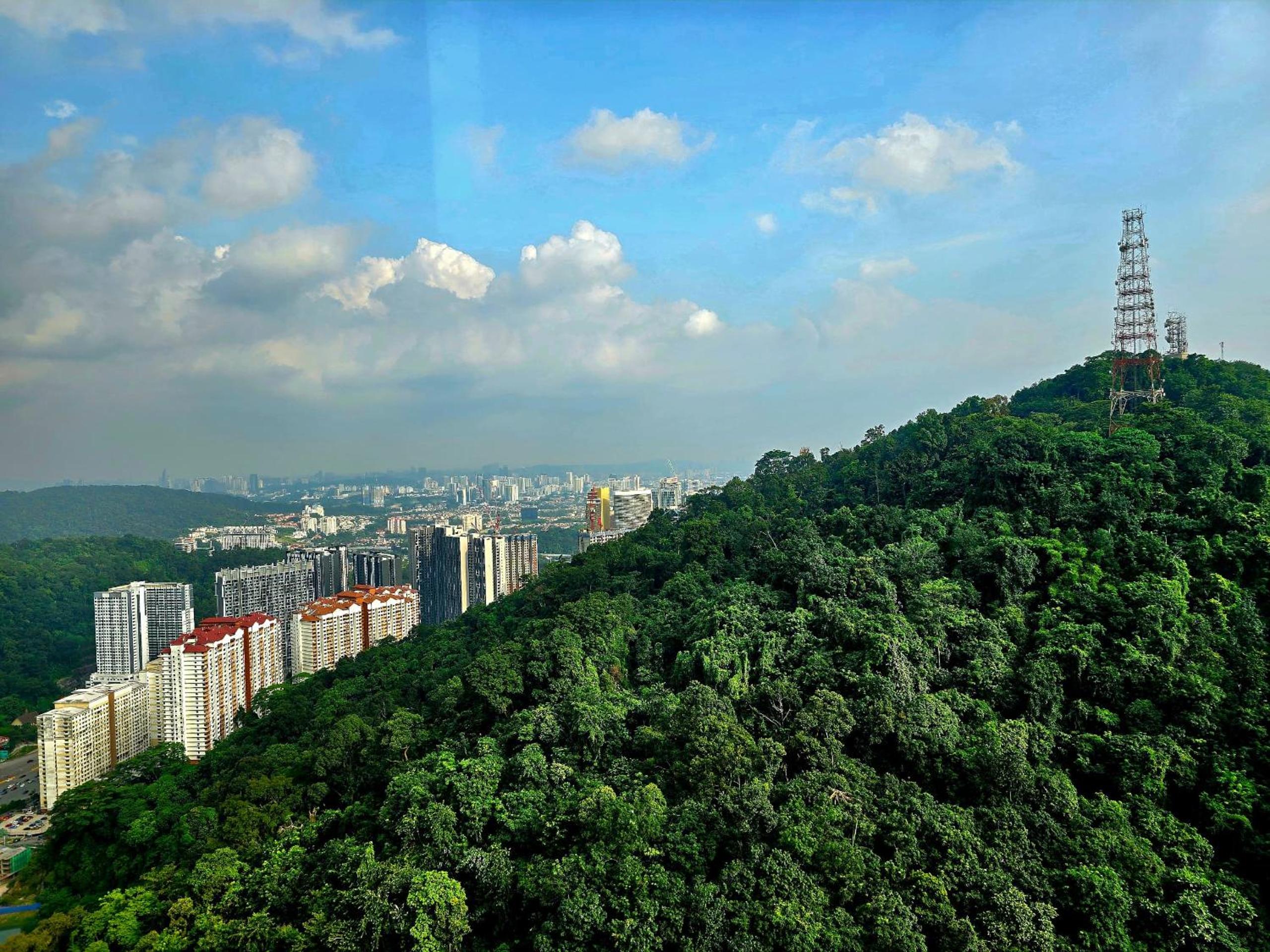 Forest Holiday Damasara Seresta 6 pax- 2carpark