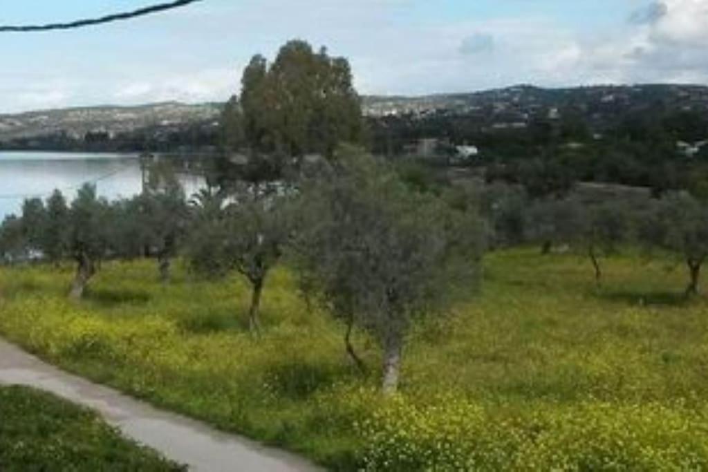 Photo 13