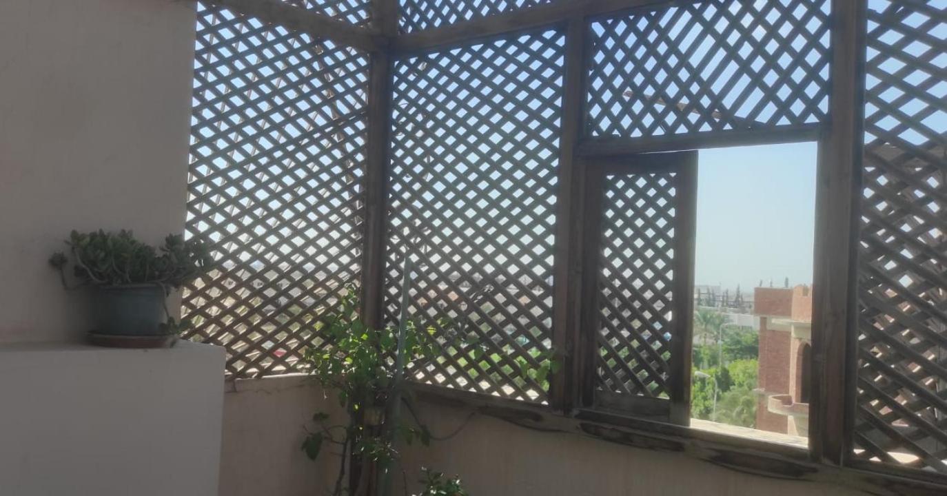 Furnished Roof Apartment in NEW CAIRO south of the Academy AREA C and next to the North Teseen Street
