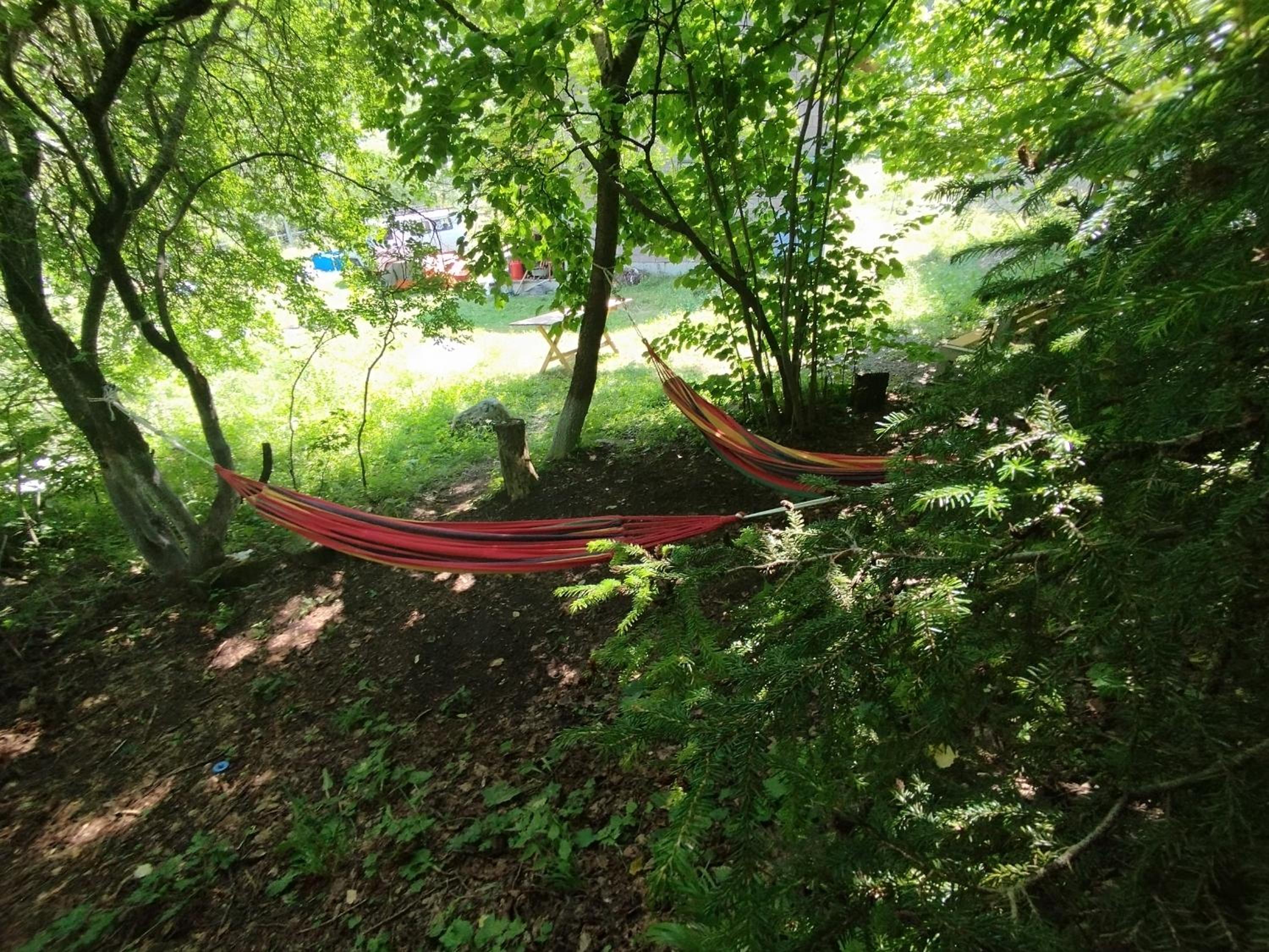 Green Valley Tusrebi