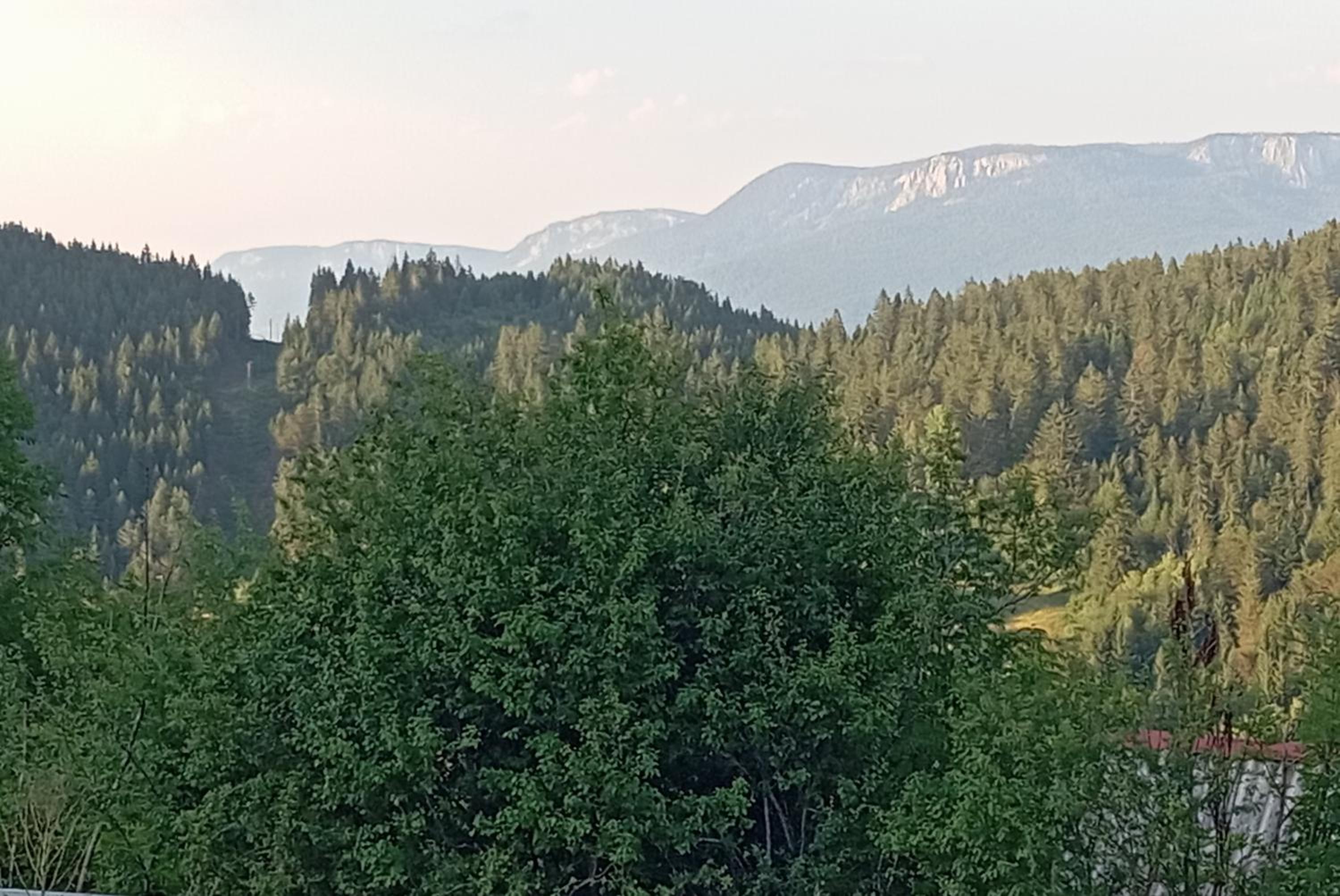 Planinska Kuca 