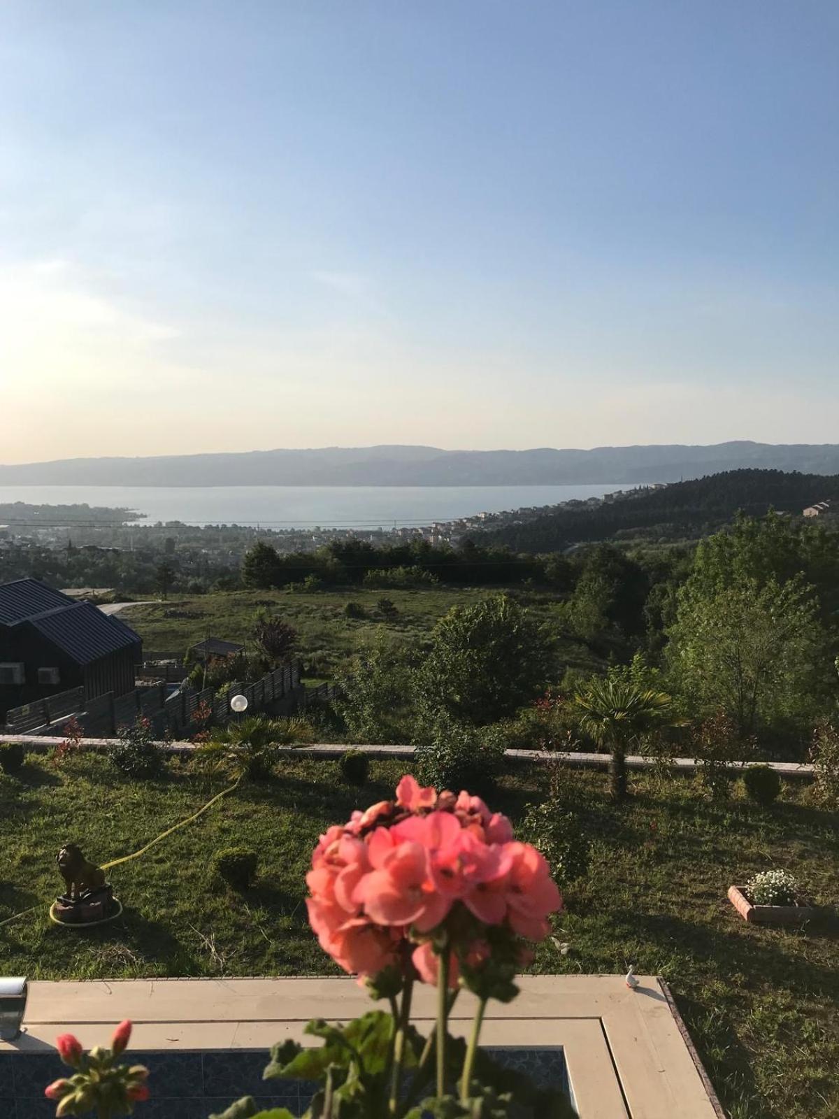 Mynaturalvilla