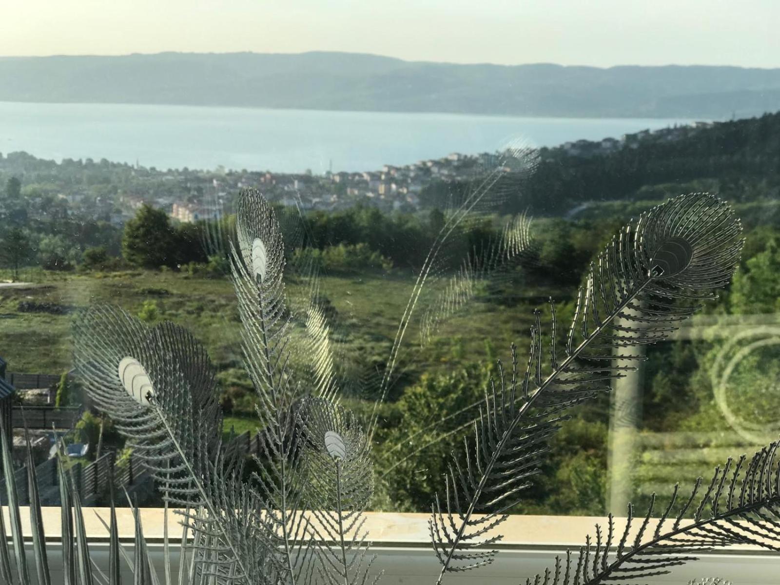 Mynaturalvilla
