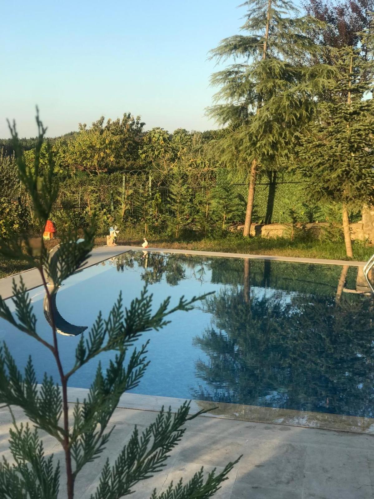 Mynaturalvilla