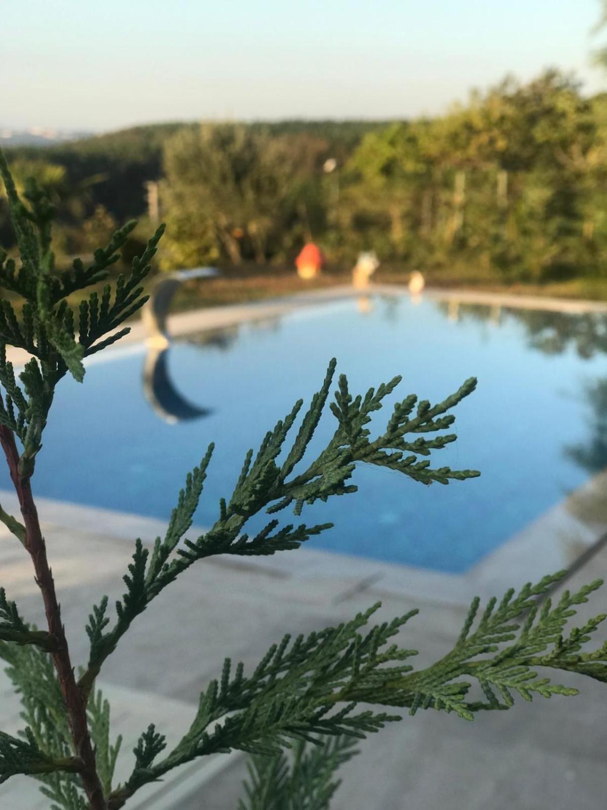 Mynaturalvilla