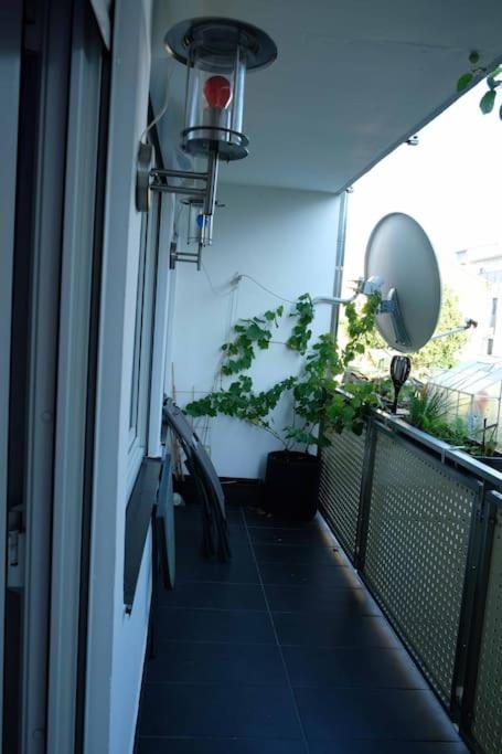 Luxurious apartment including wellness