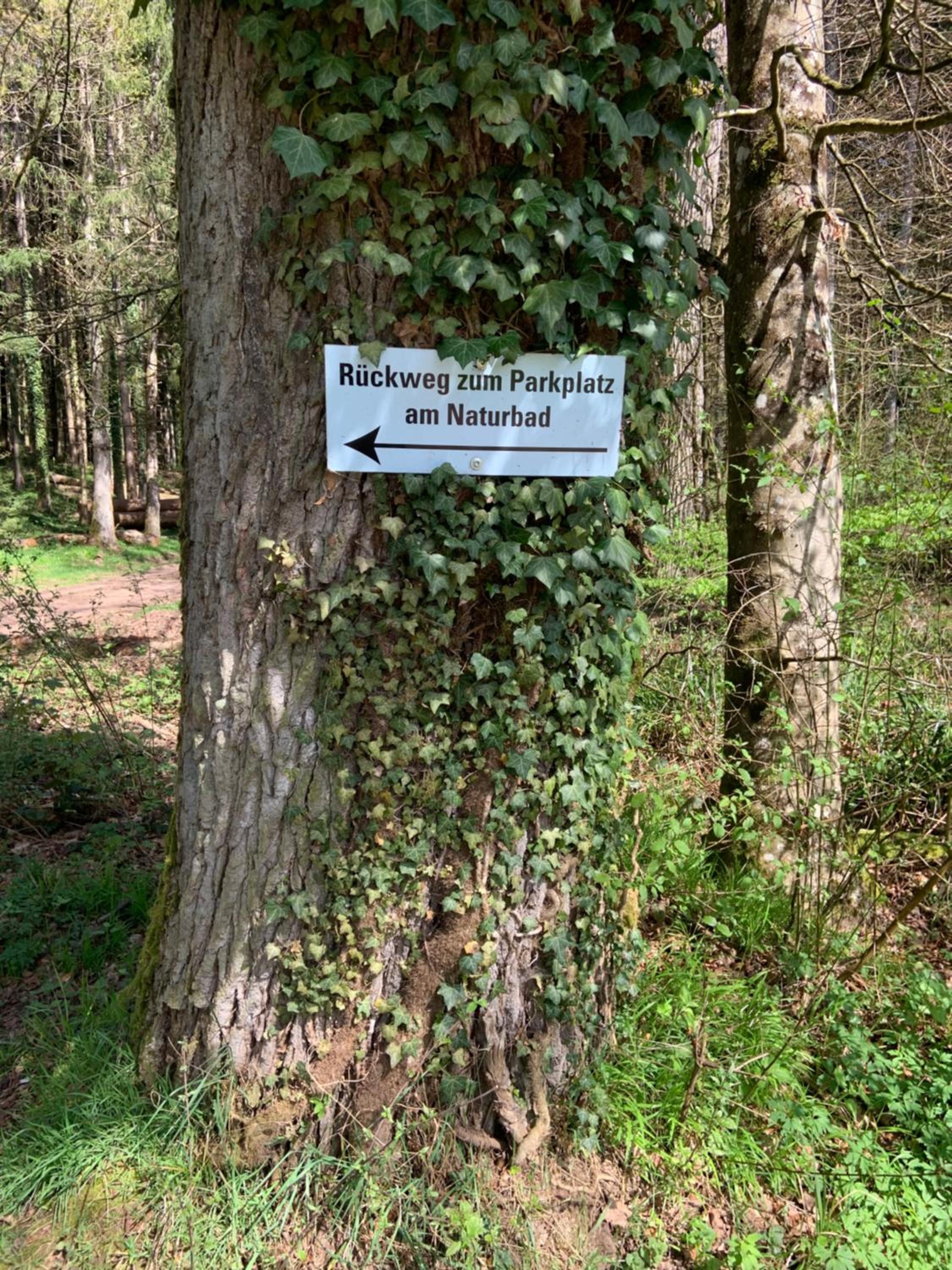 Appartement Sulzbachtal in Lahr, Nähe Europapark, Nähe Rulantica