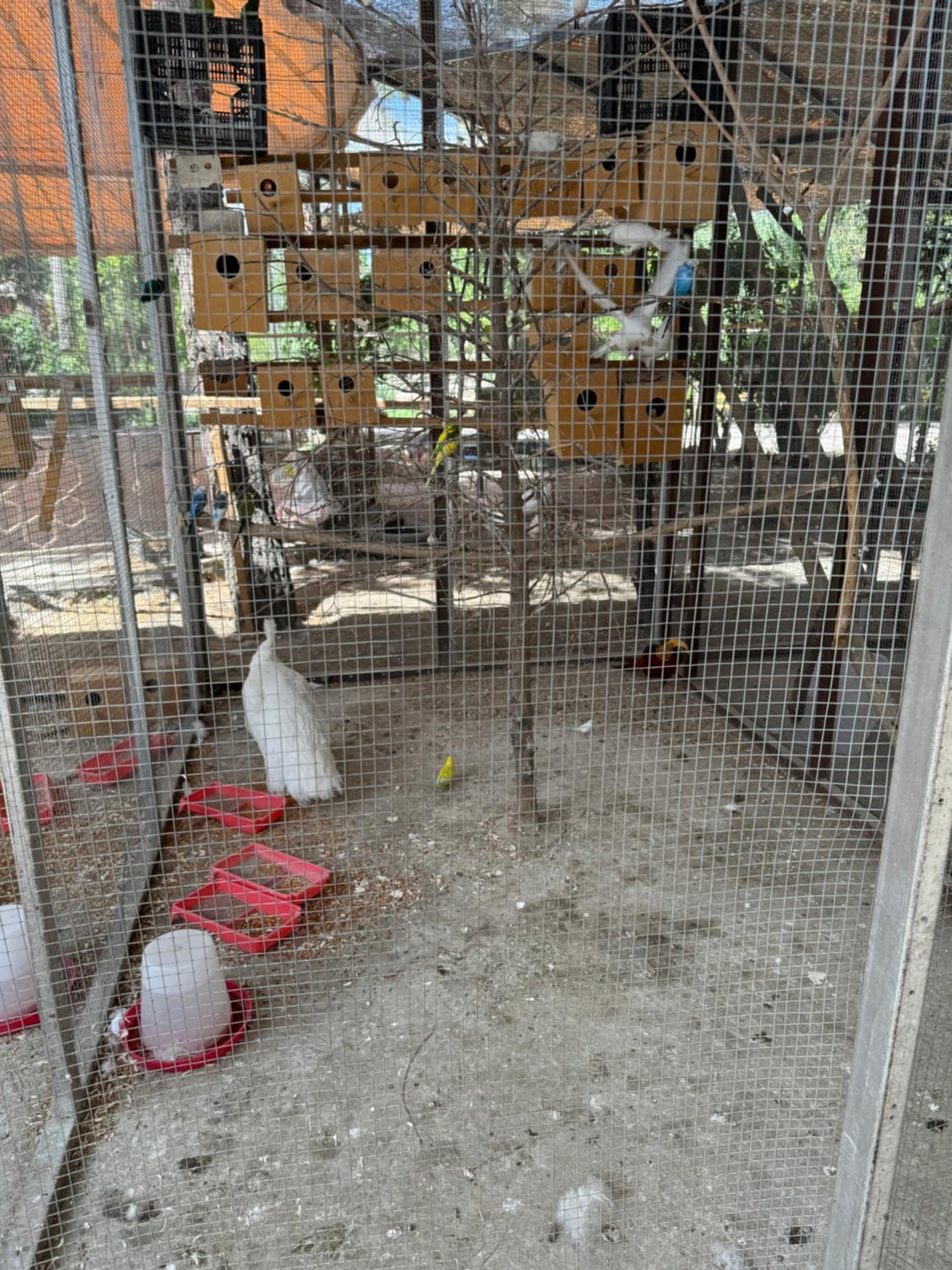 Marokand Hostel