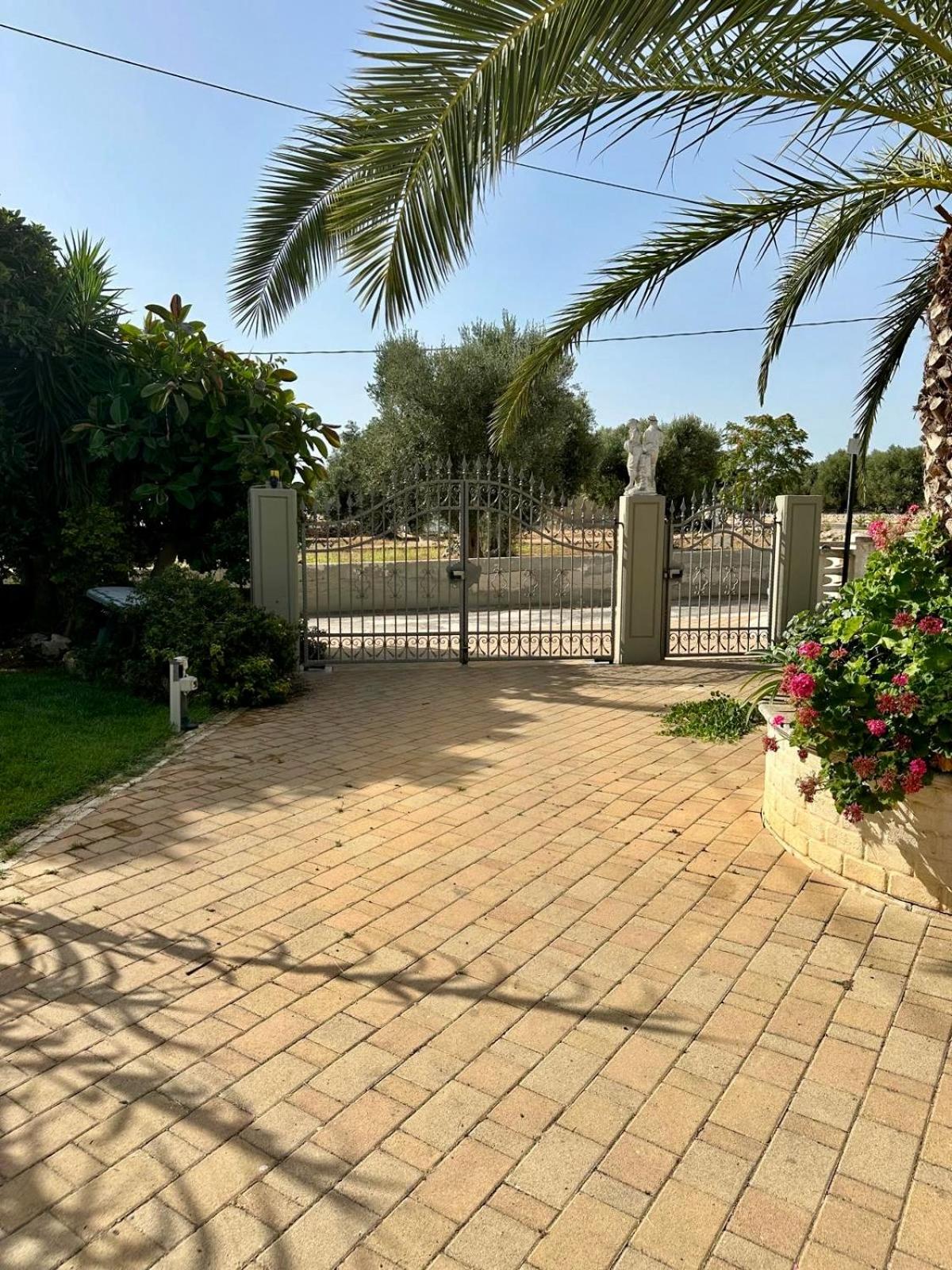 La Casetta Rustica view 3