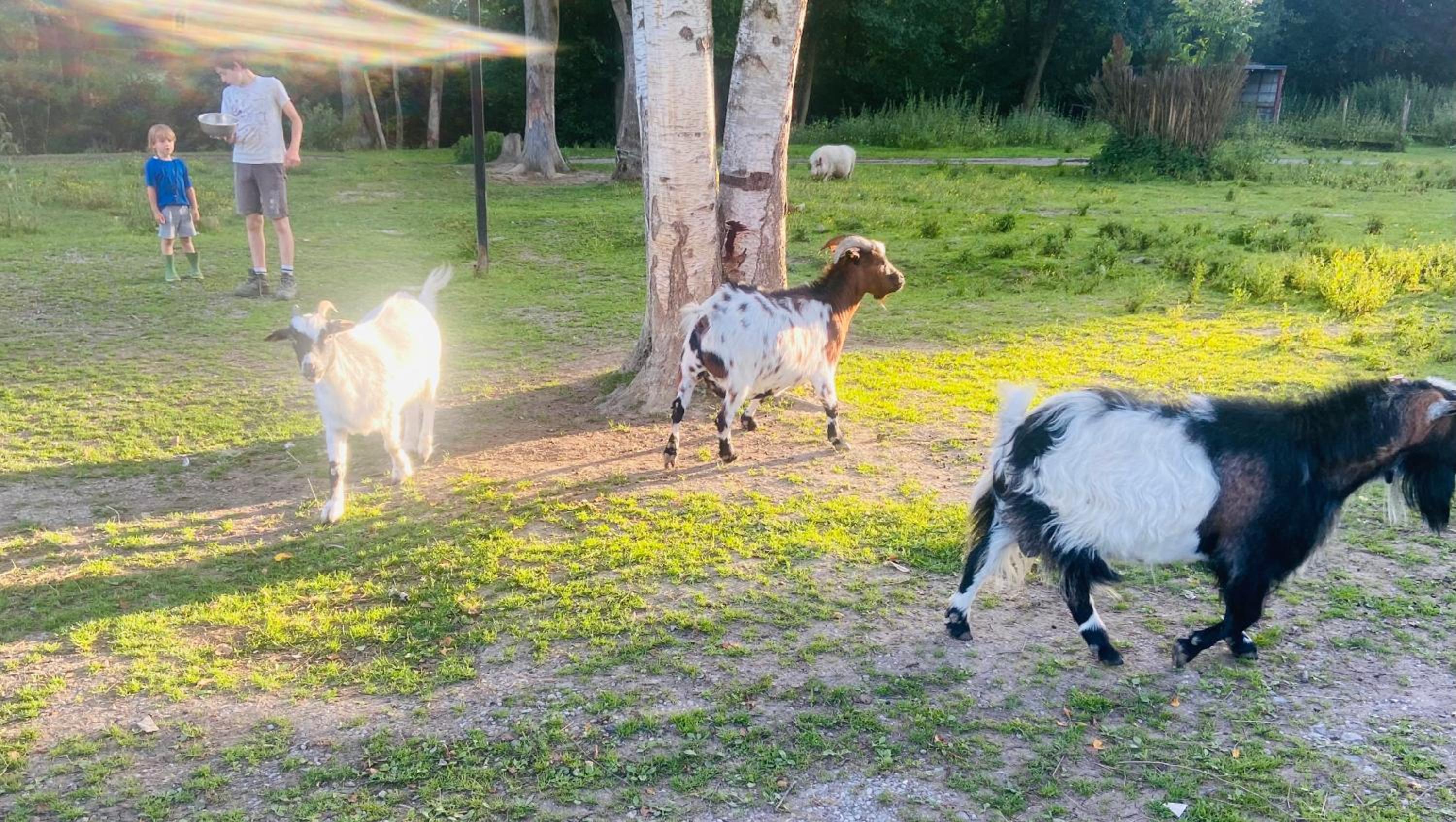 Caravane en pleine nature ferme proche de tout