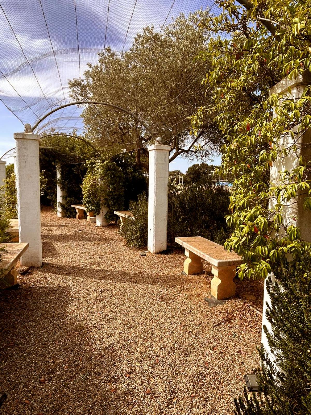 Photo 6