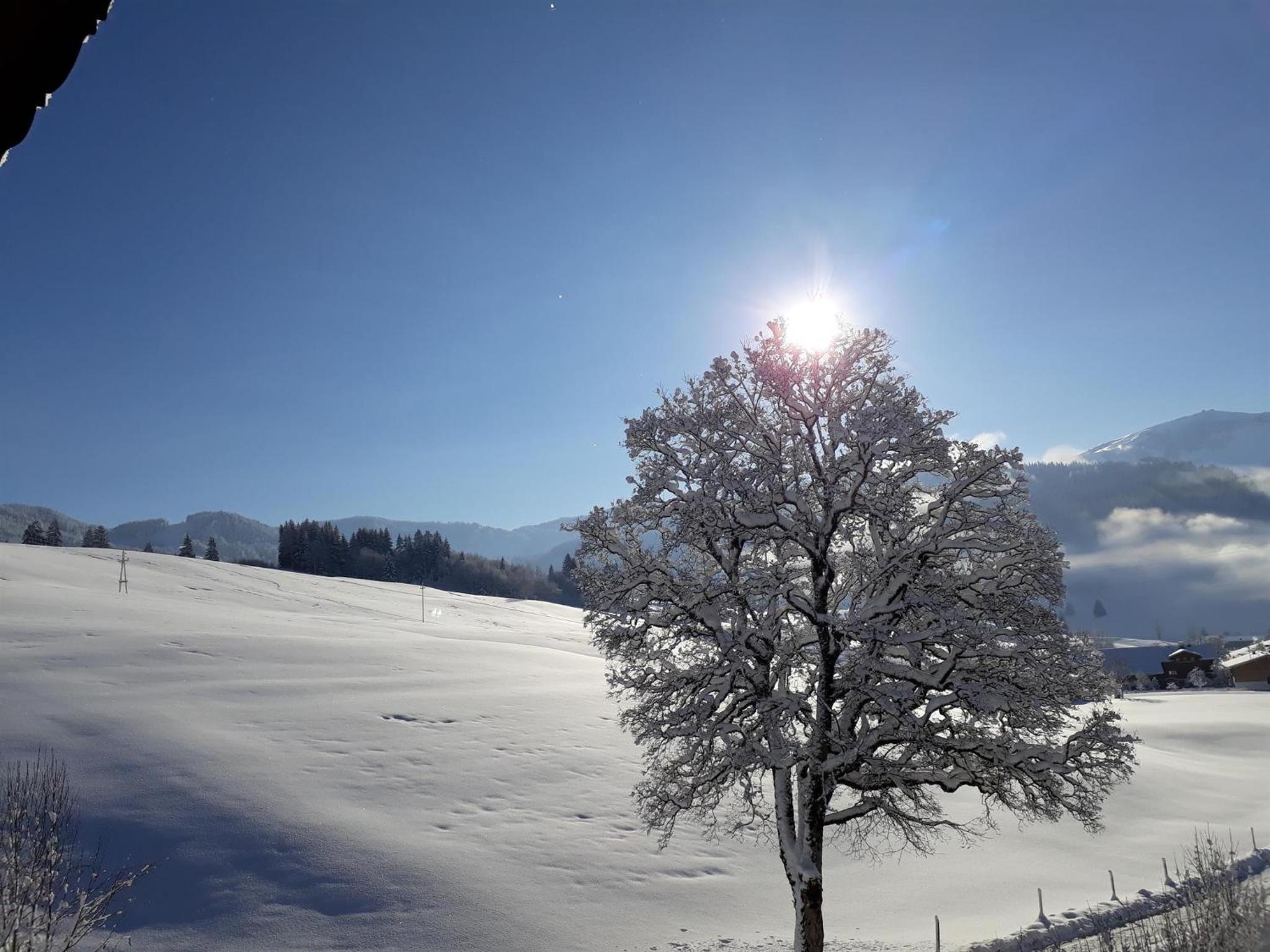 Lärchenhof
