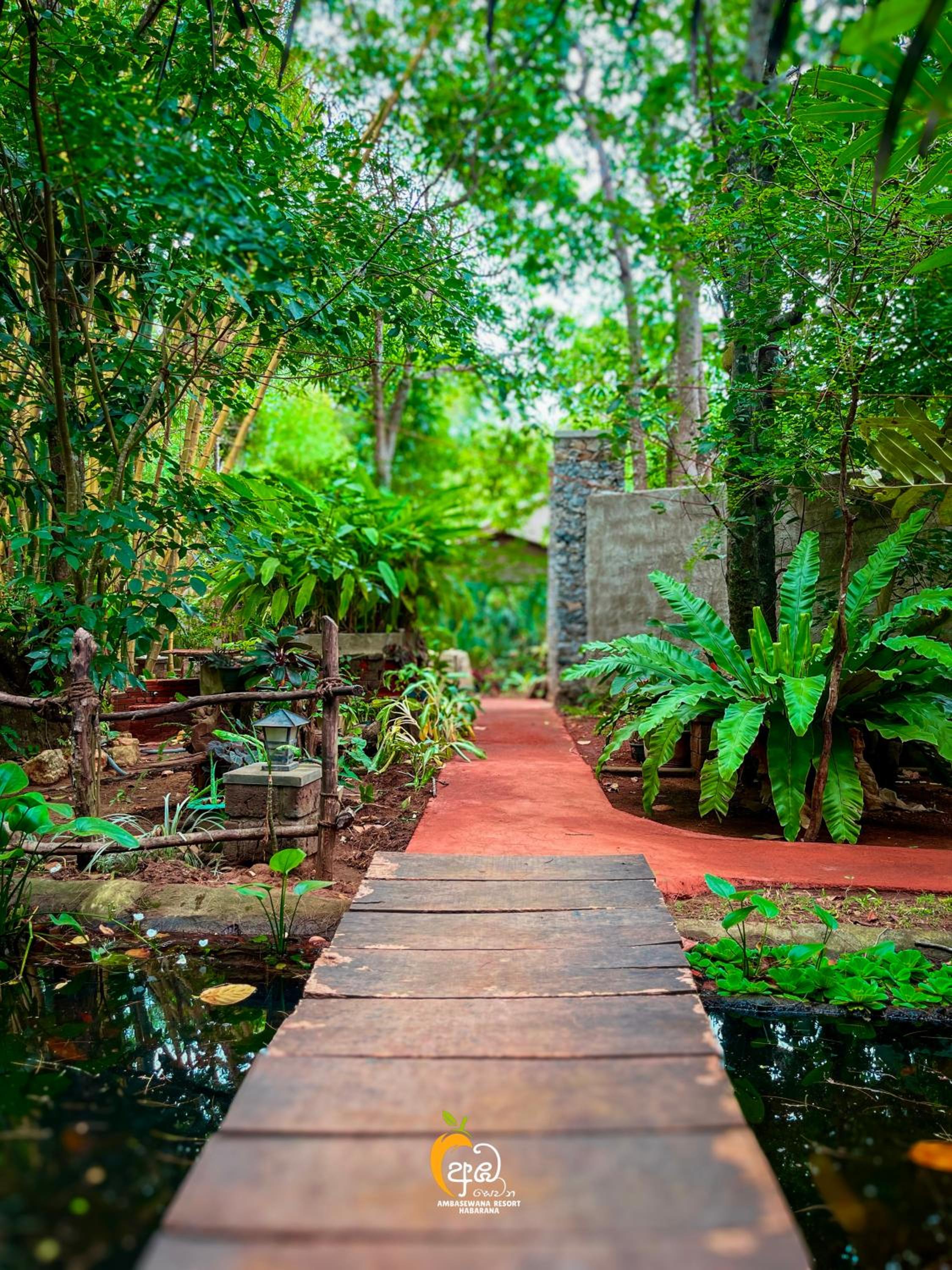 Habarana Tree House Ambasewana Resort