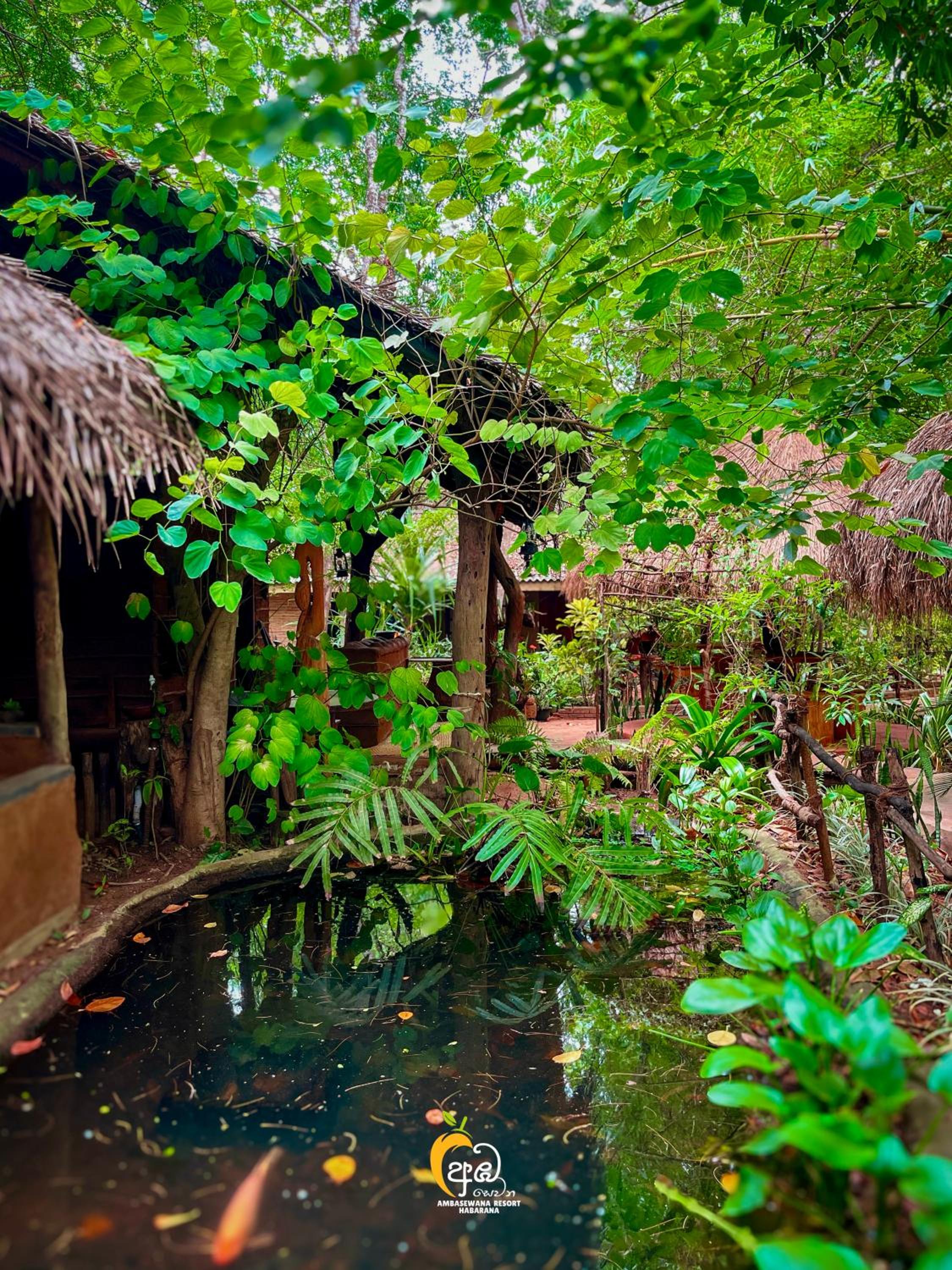 Habarana Tree House Ambasewana Resort