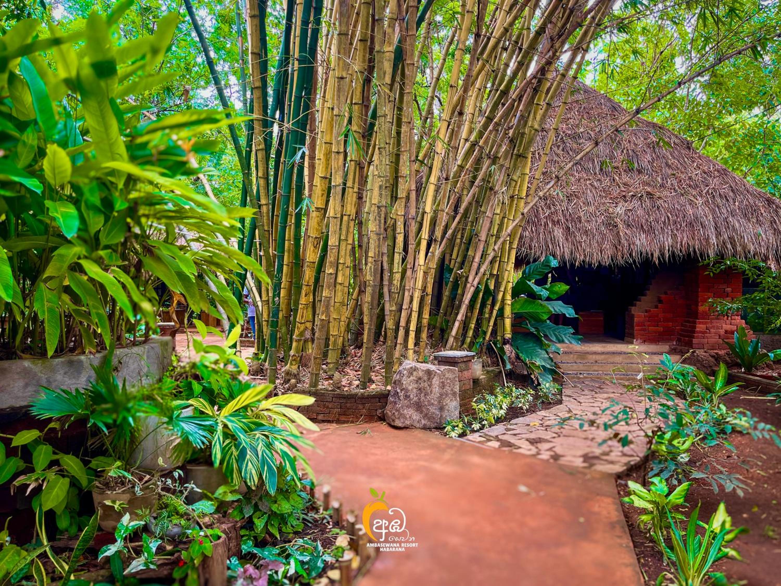 Habarana Tree House Ambasewana Resort
