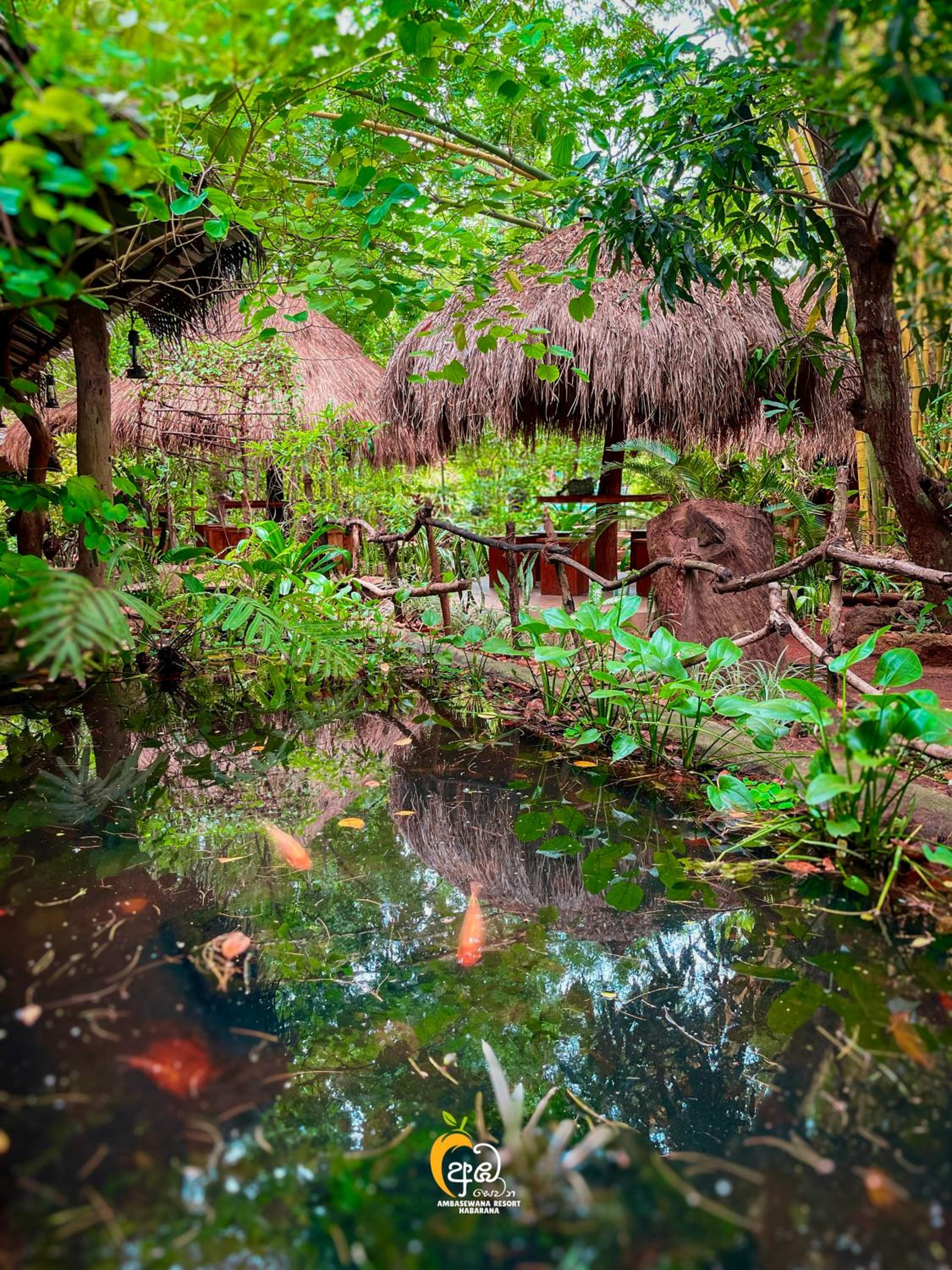 Habarana Tree House Ambasewana Resort