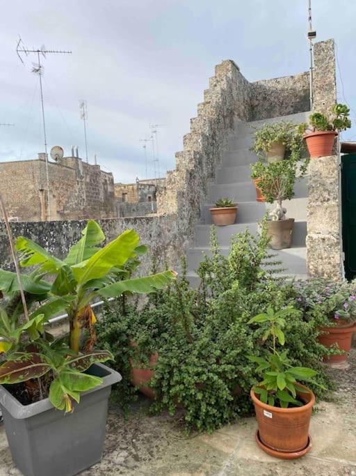 Corte Alessandri - Terrace