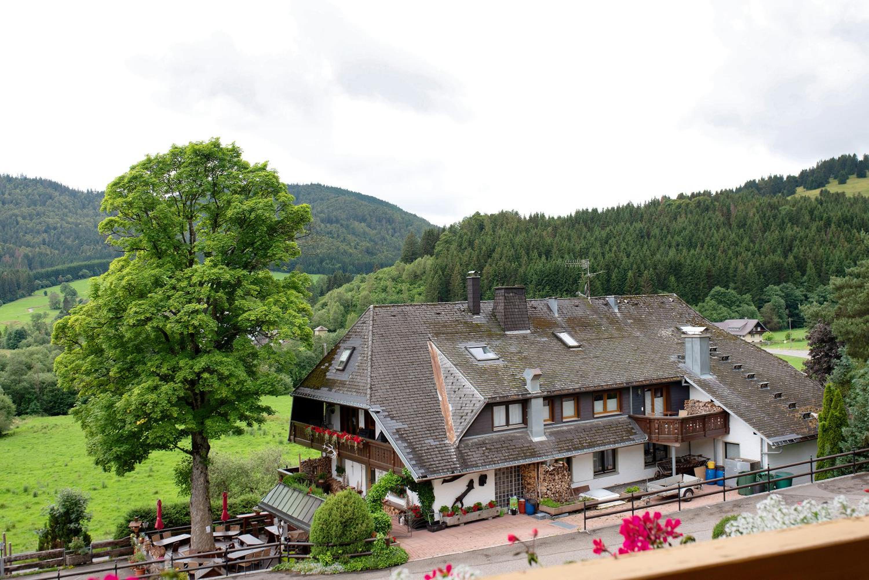 Appartment Bergblick