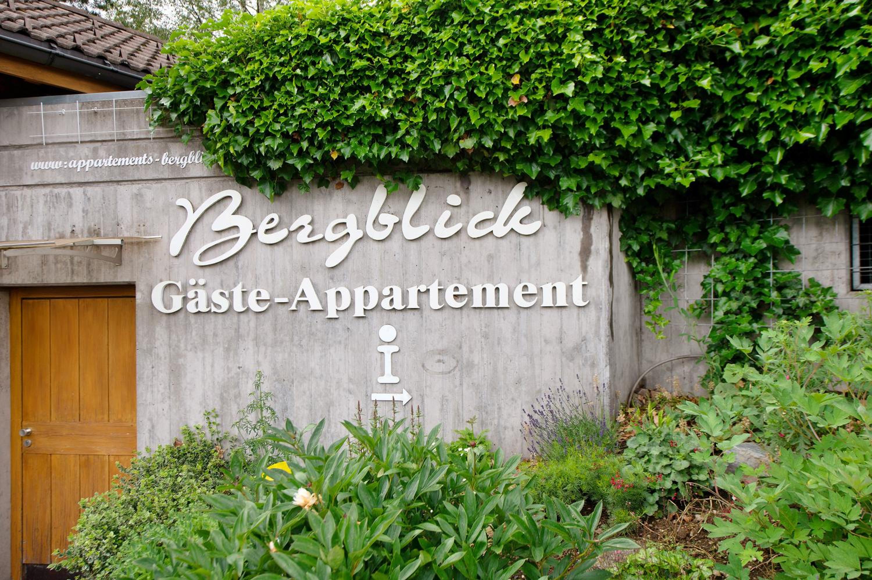 Appartment Bergblick