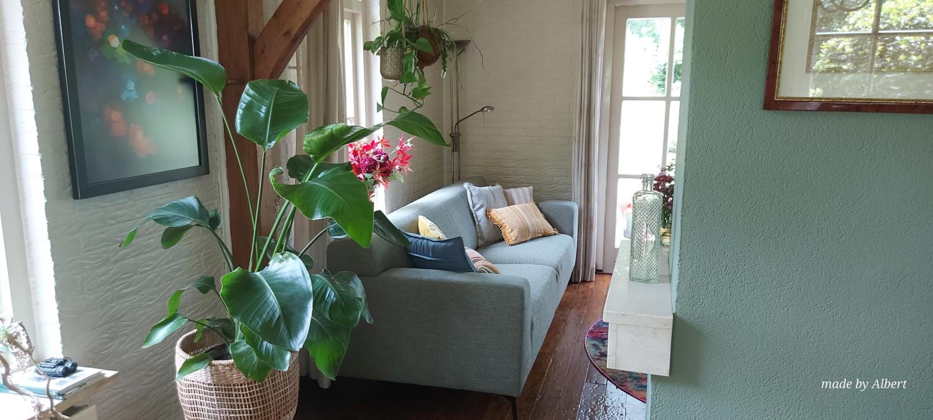 Vakantiewoning Salland view 5