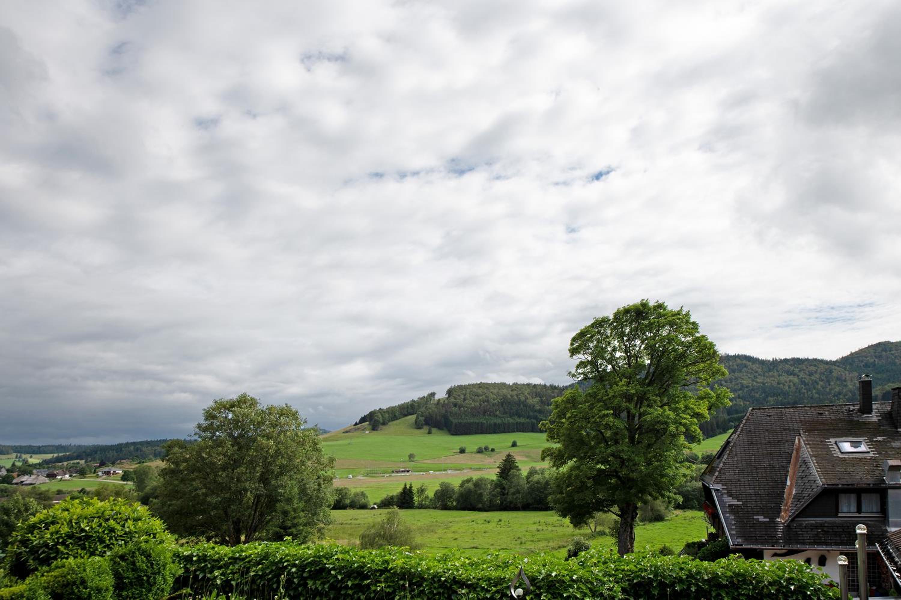 Appartment Bergblick
