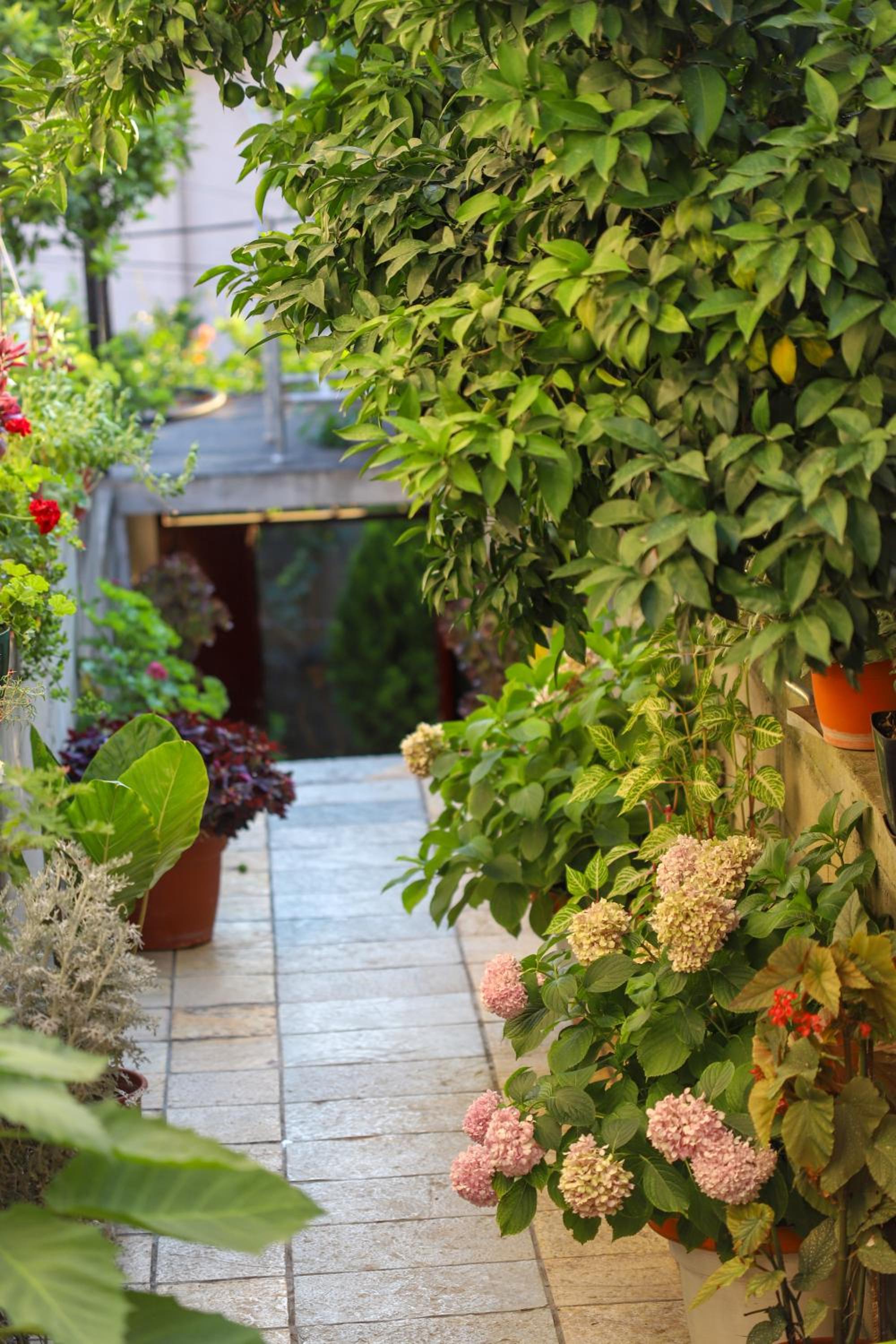 Guest House Veizaj Center
