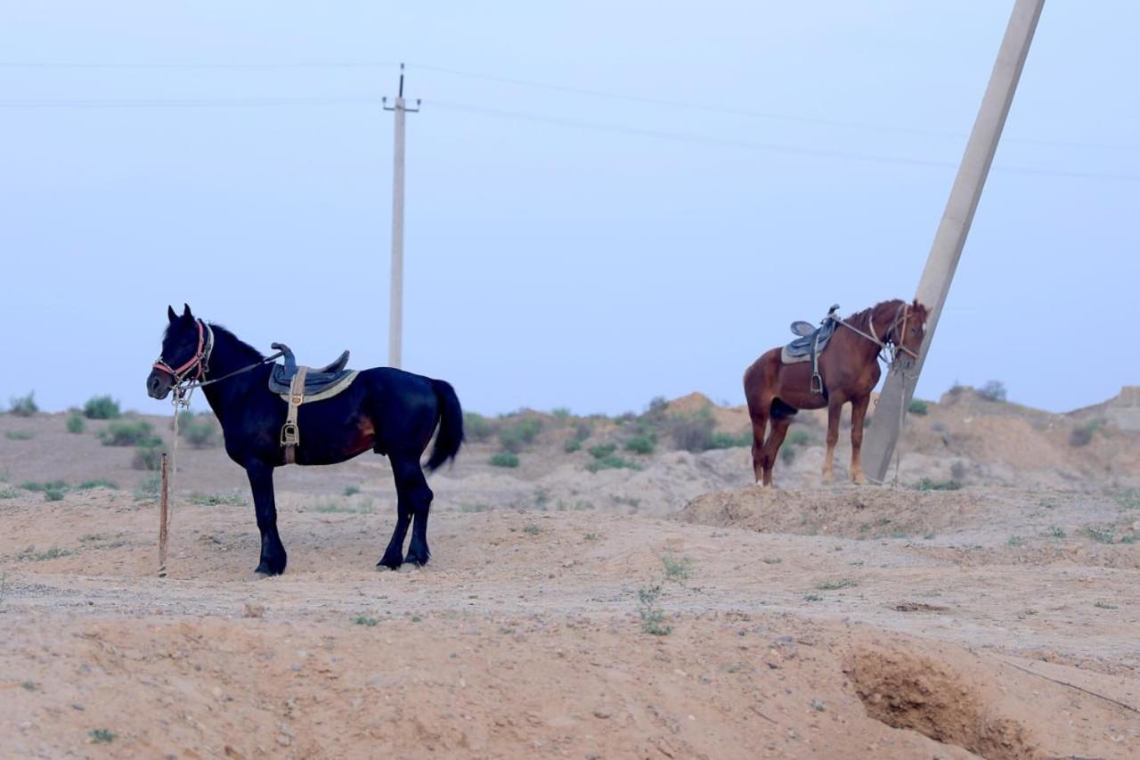 Nomad Island Bukhara