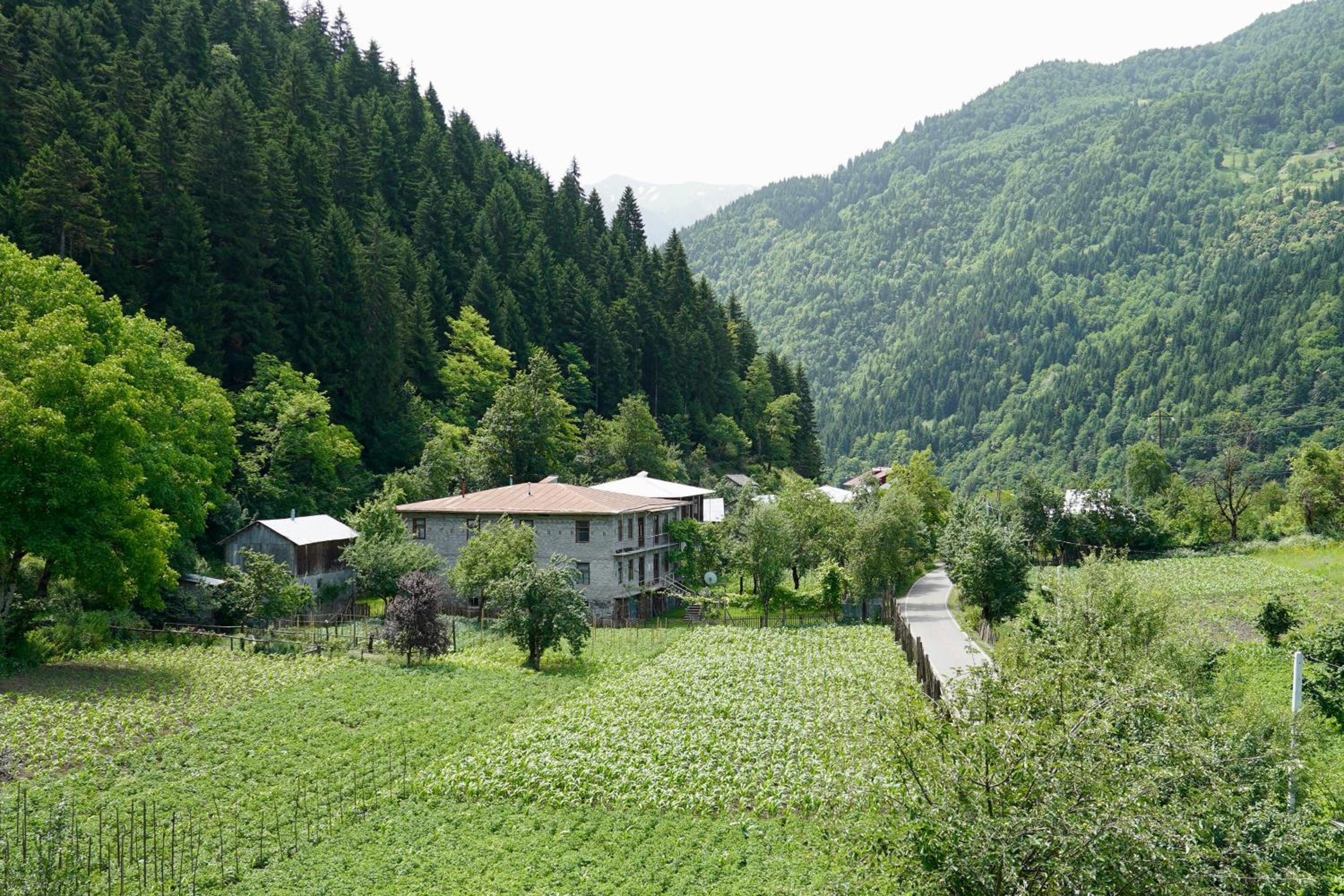 Guesthouse Mareti