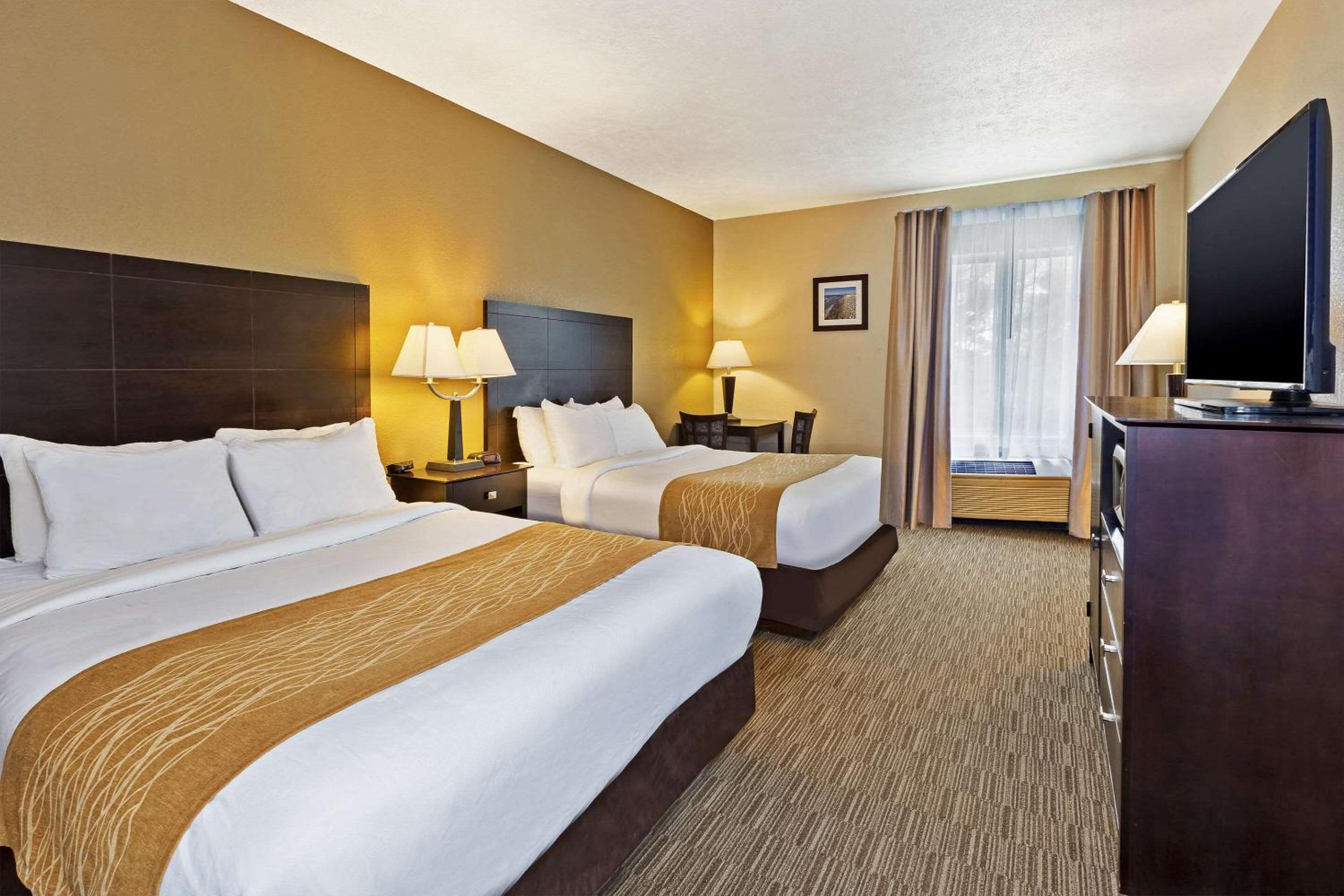 Comfort Inn Whitehall near Michigan's Adventure, Foto 6