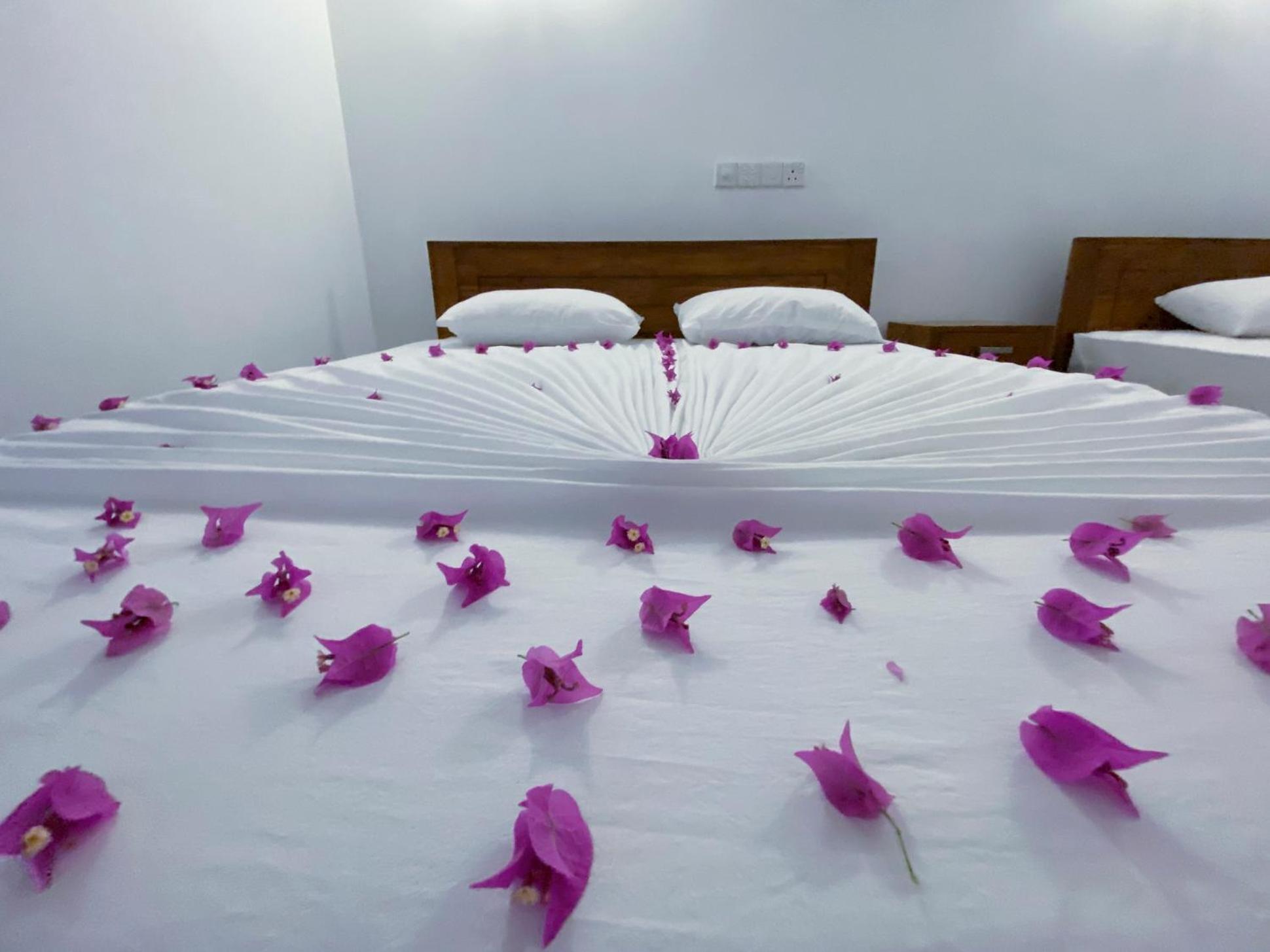 Yala Safari Green Home Stay