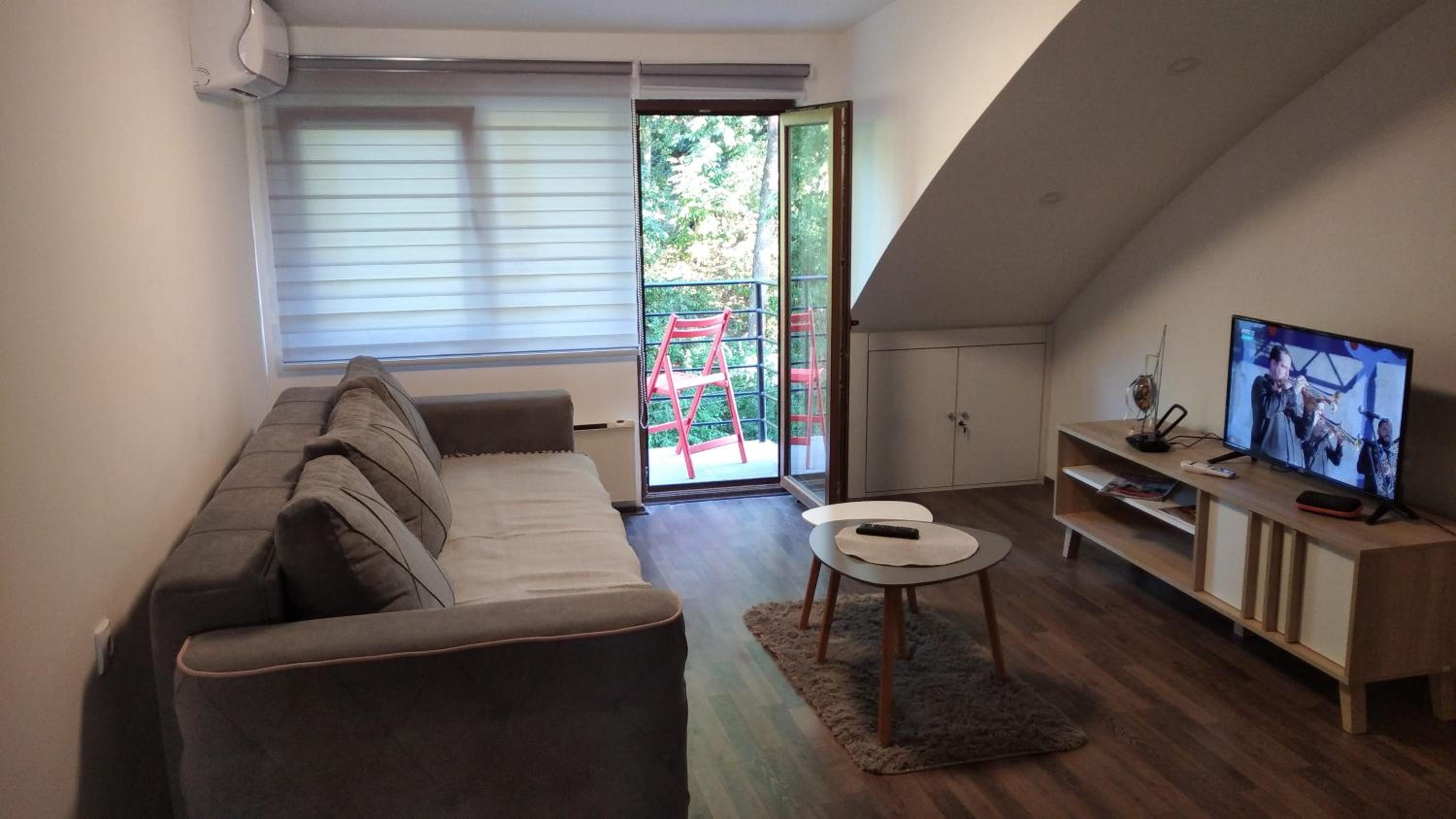 Apartman Radenkovic view 3