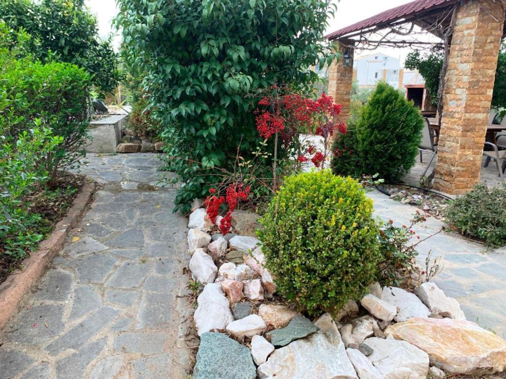 Photo 47
