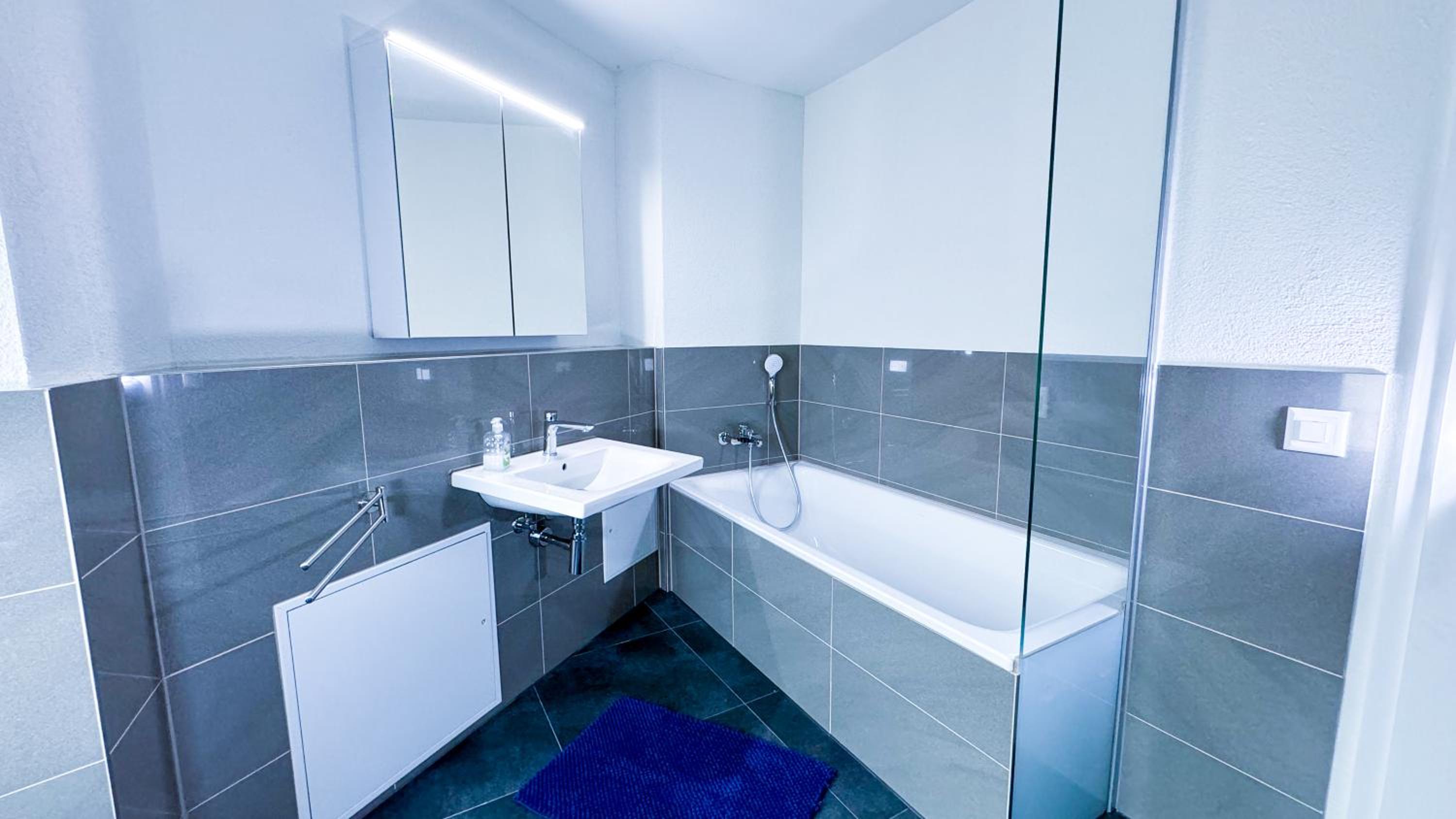 Blue Apartment by Freihofapartments