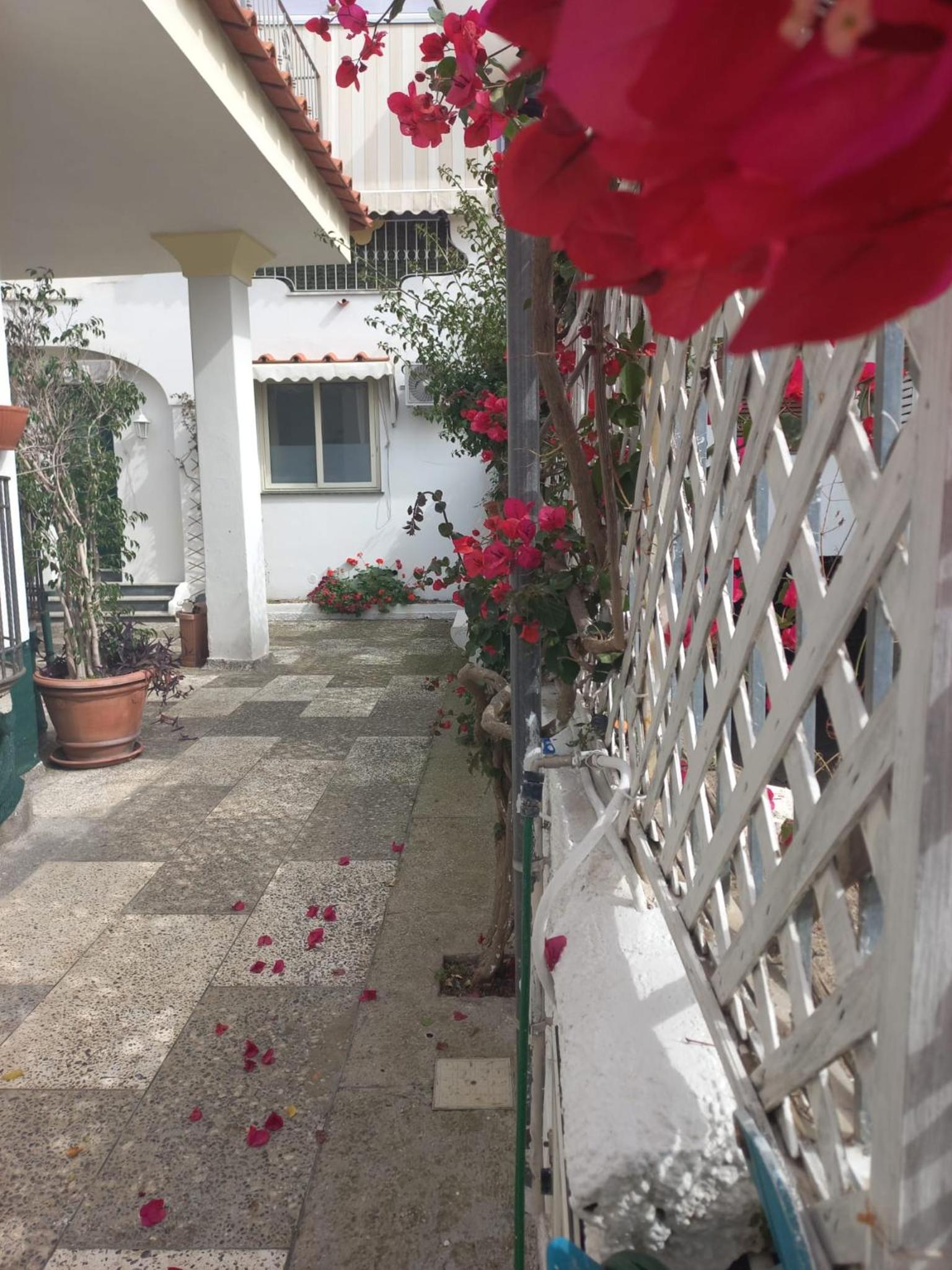 B&B Raggi d'Ischia - nuova gestione 2026 view 4