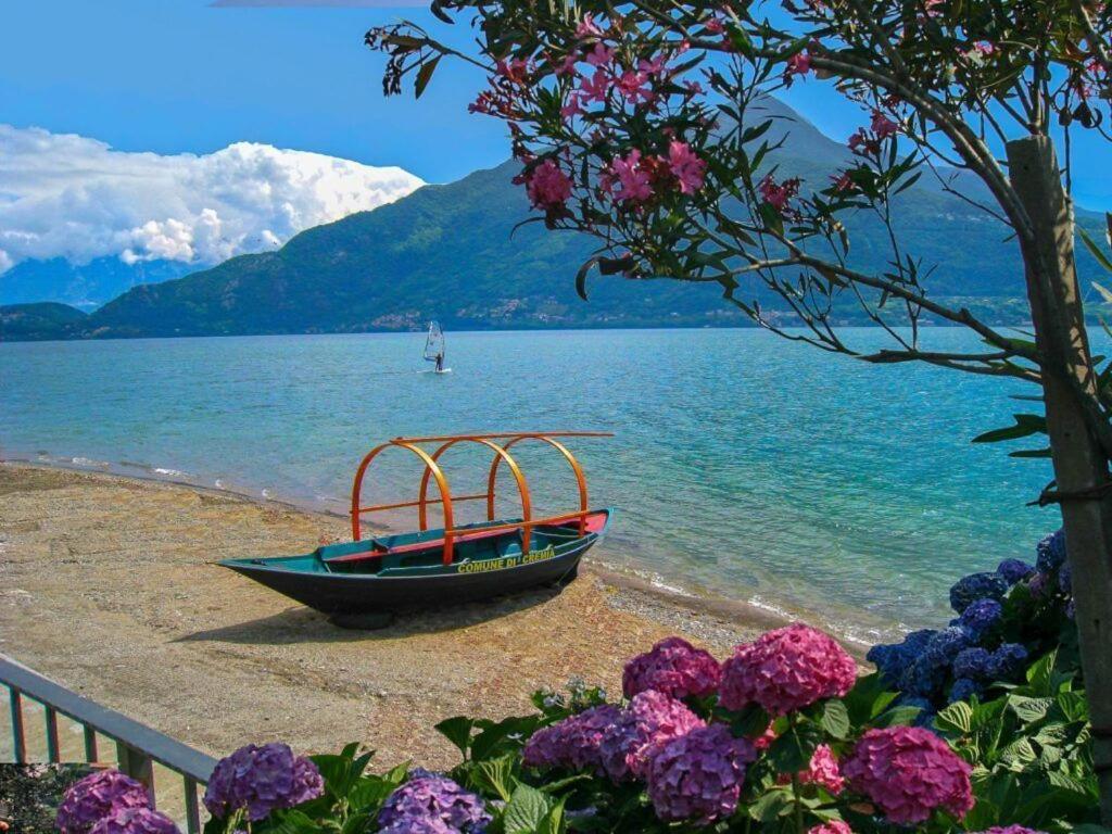 Oasi Ulivi