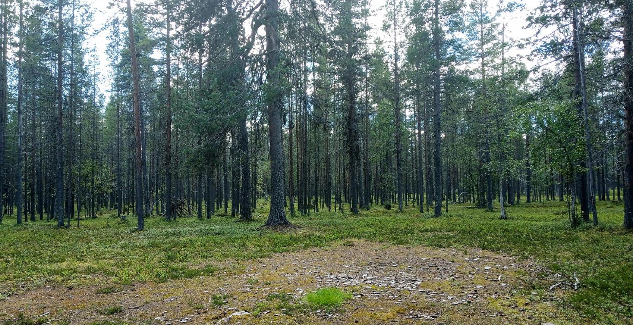 Kuukkeli Apartments Vuotso
