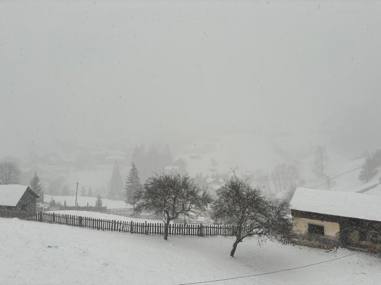 A Hunter's Lodge view 3