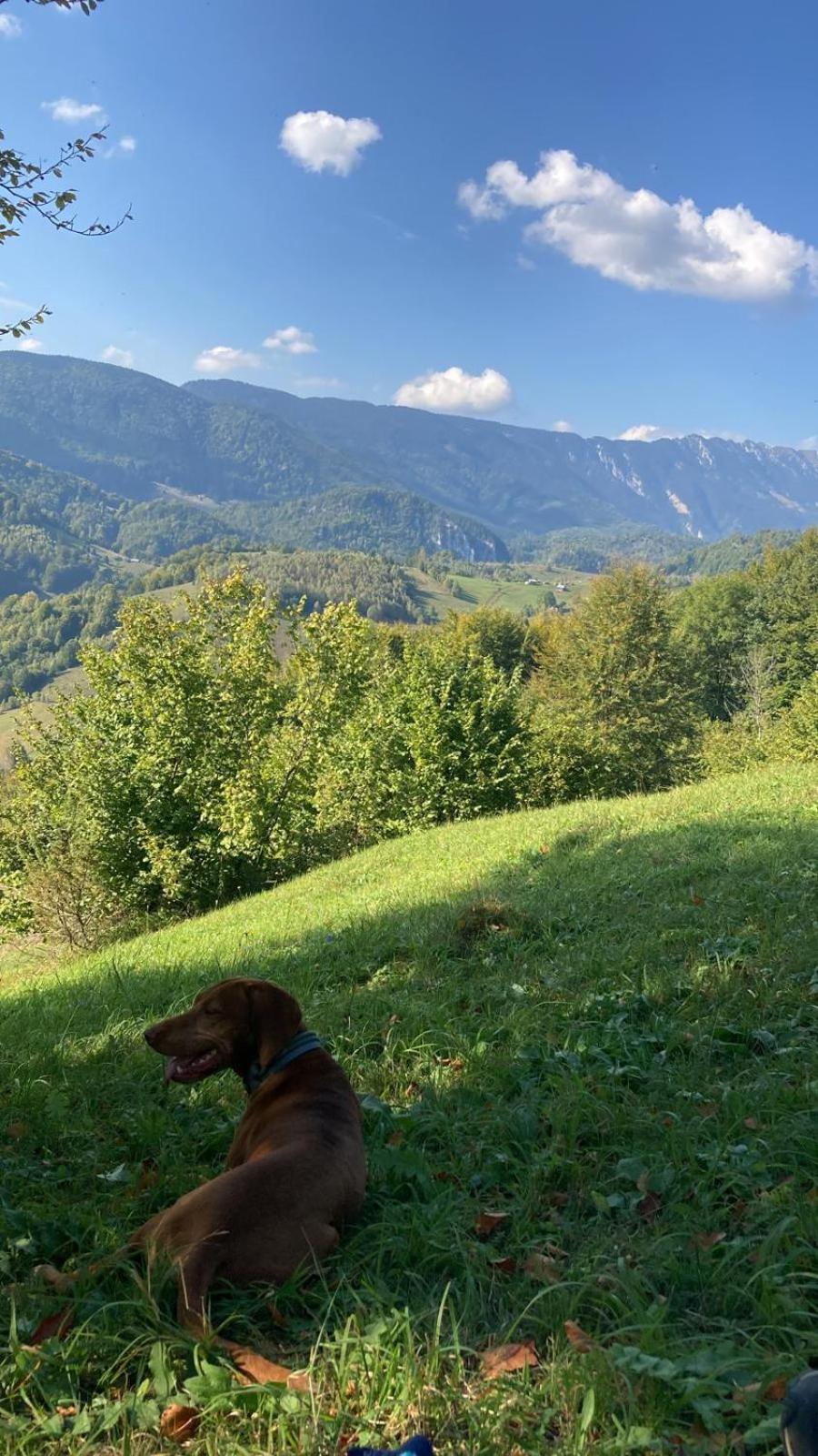 A Hunter's Lodge view 2
