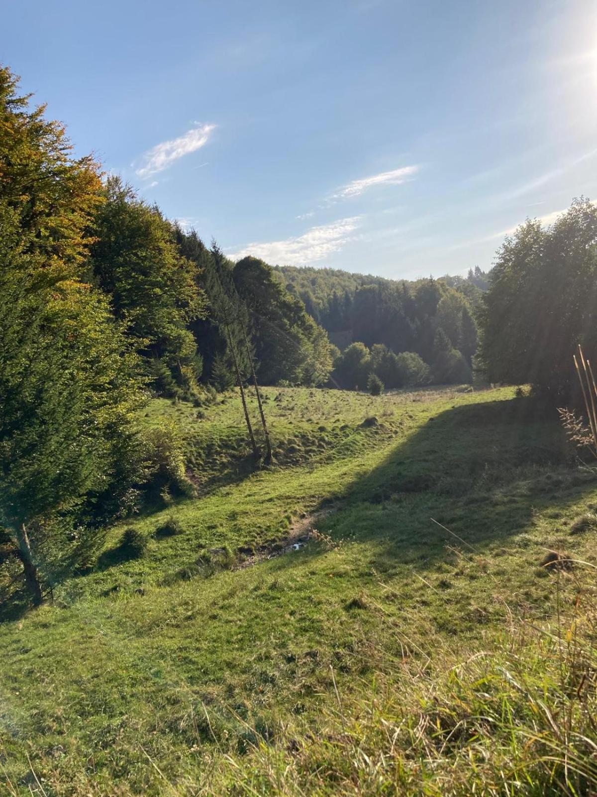 A Hunter's Lodge view 5