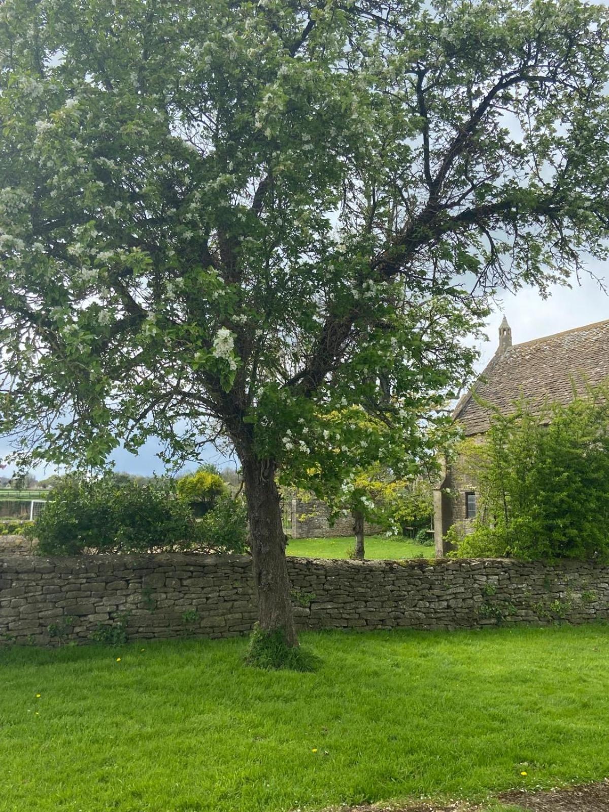 The Barn at Church Farm view 2